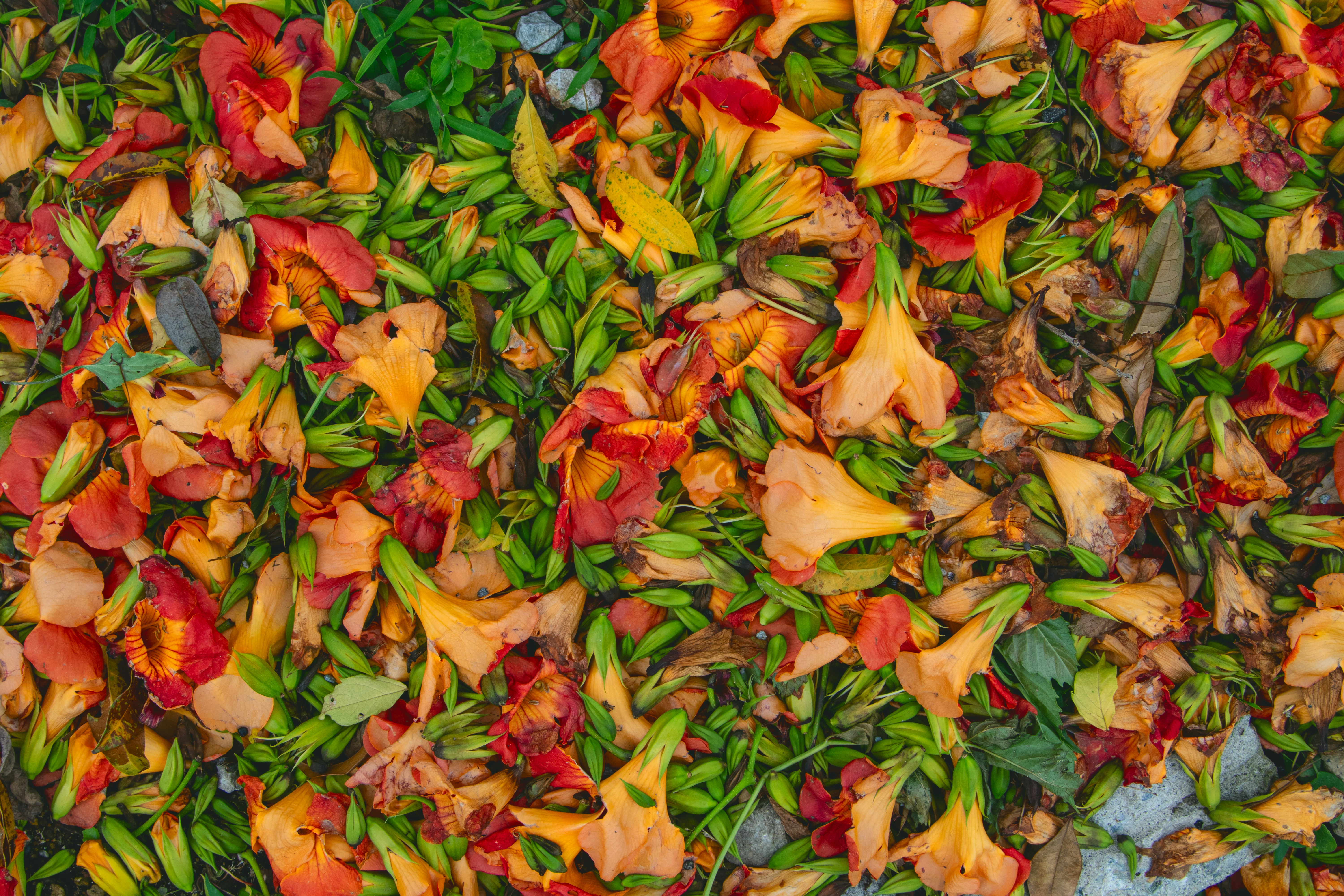 Photo by keita_yoshida_jha