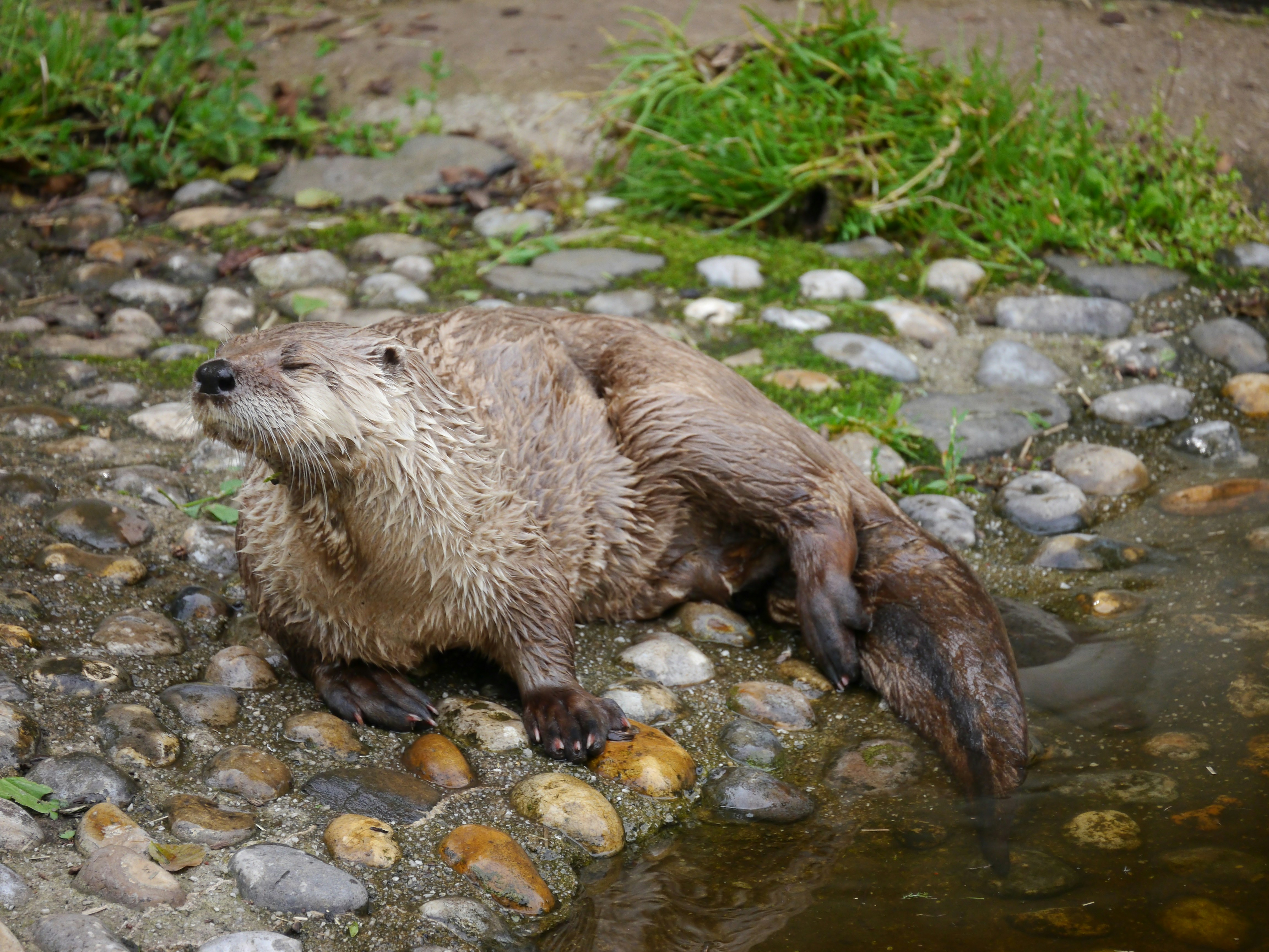 Photo by iqsphotography