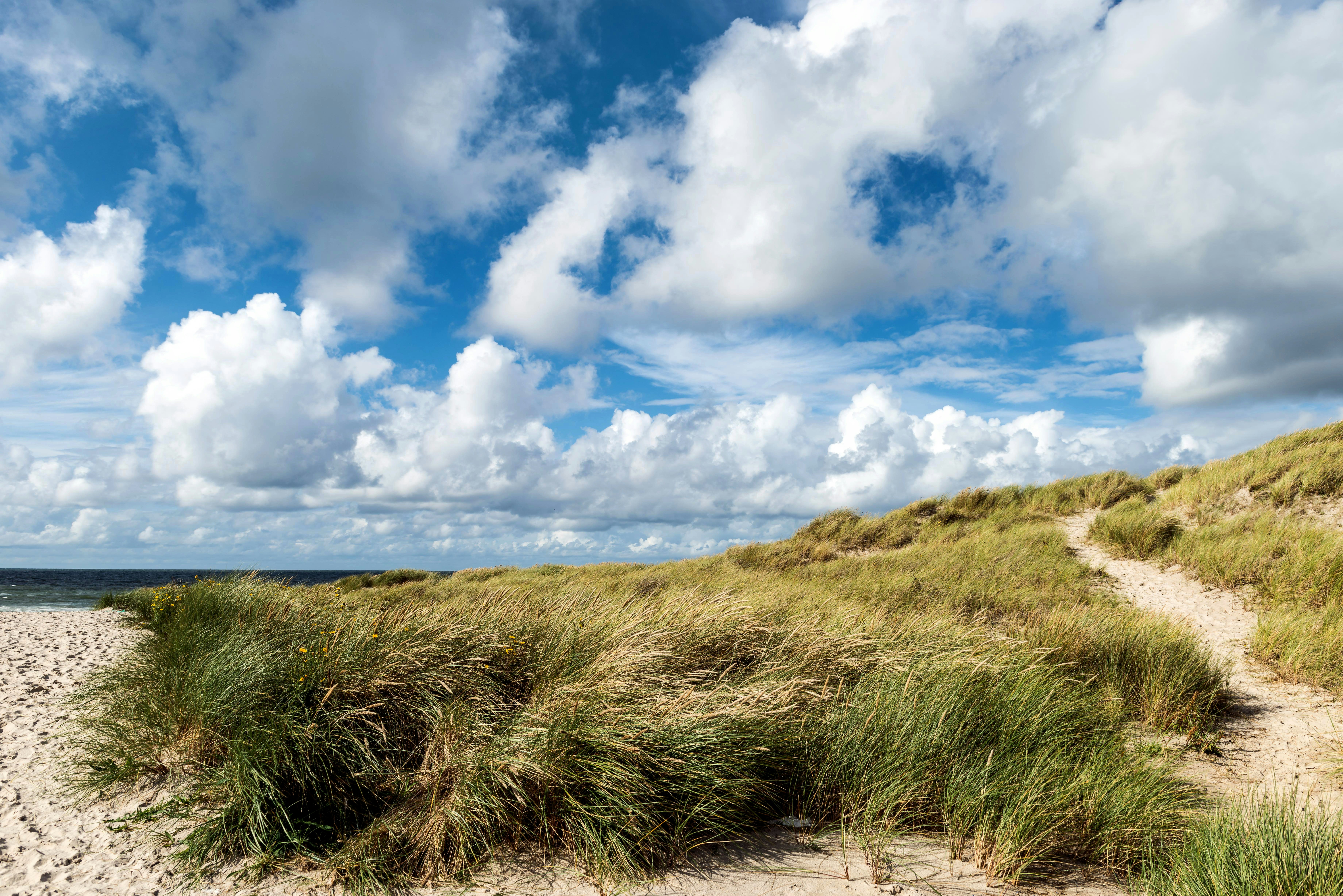 Photo by hamburgmeinefreundin