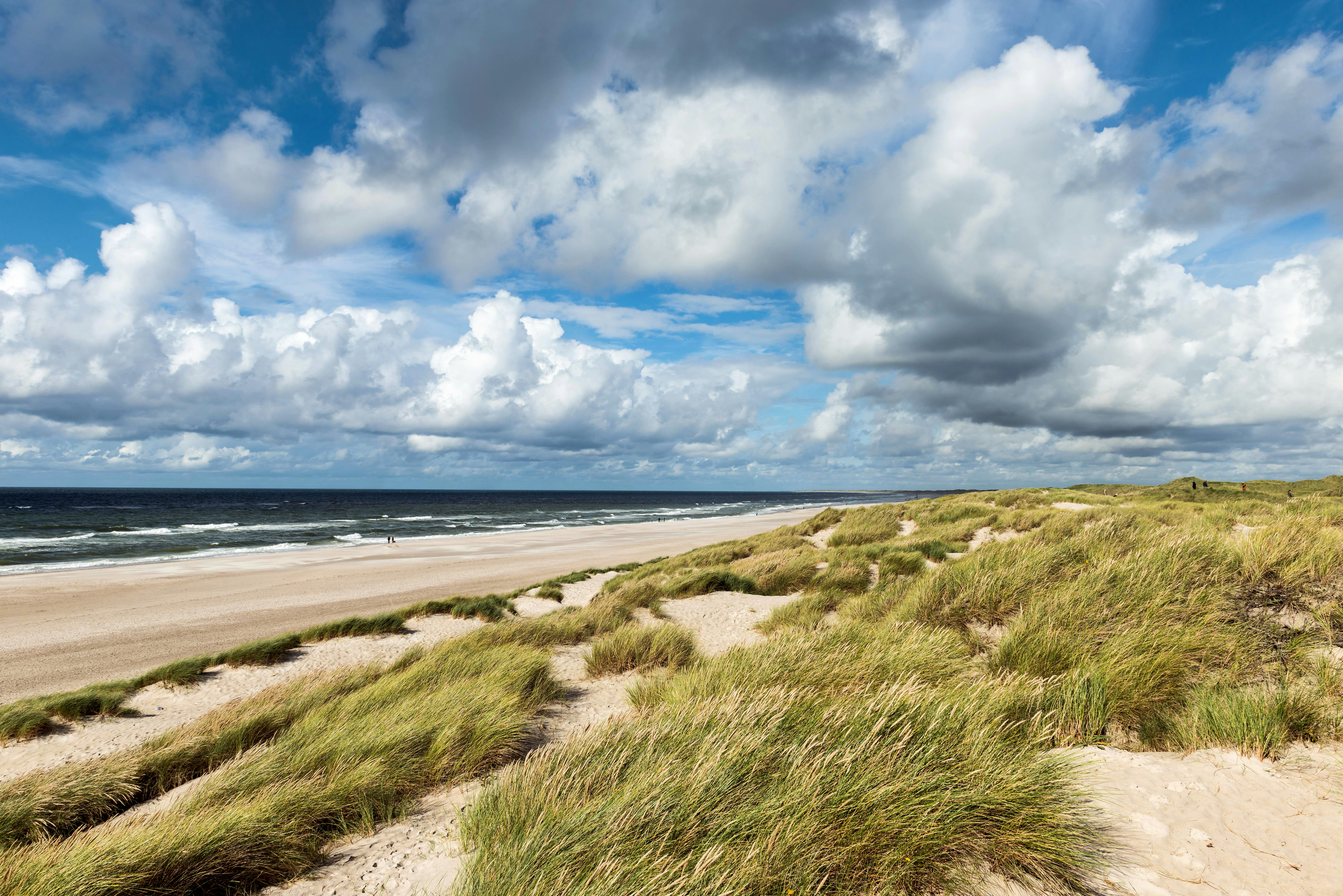 Photo by hamburgmeinefreundin