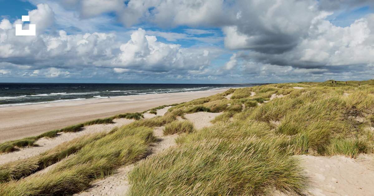 Sandy Strand A sandy beach covered in grass under a cloudy blue sky photo – Free ...