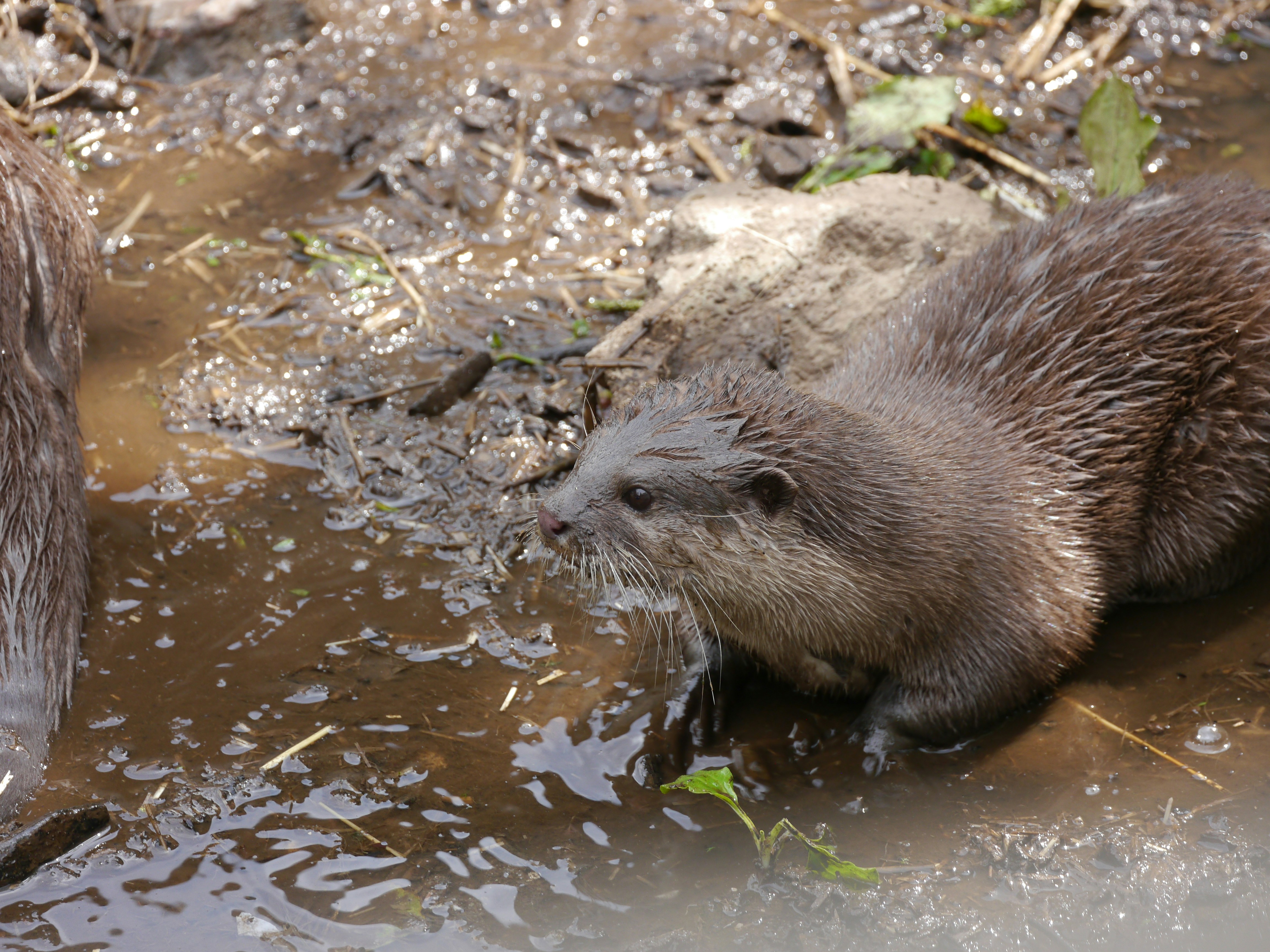 Photo by iqsphotography