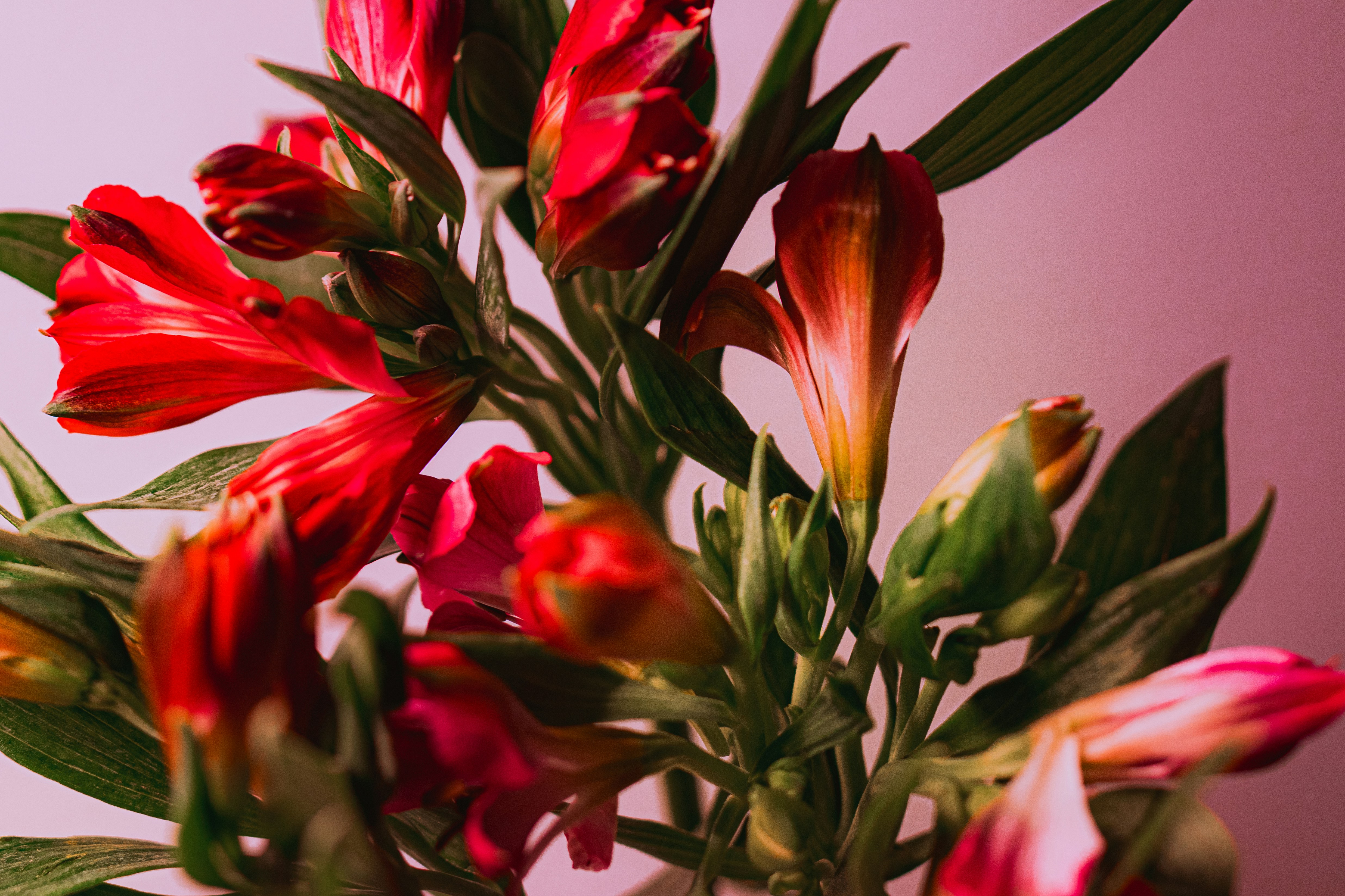 Photo by sentimaprinco