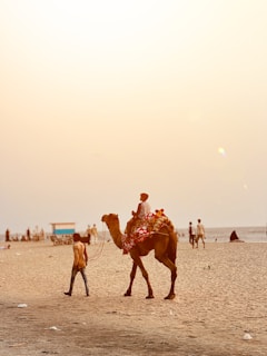 A man is walking a camel on the beach