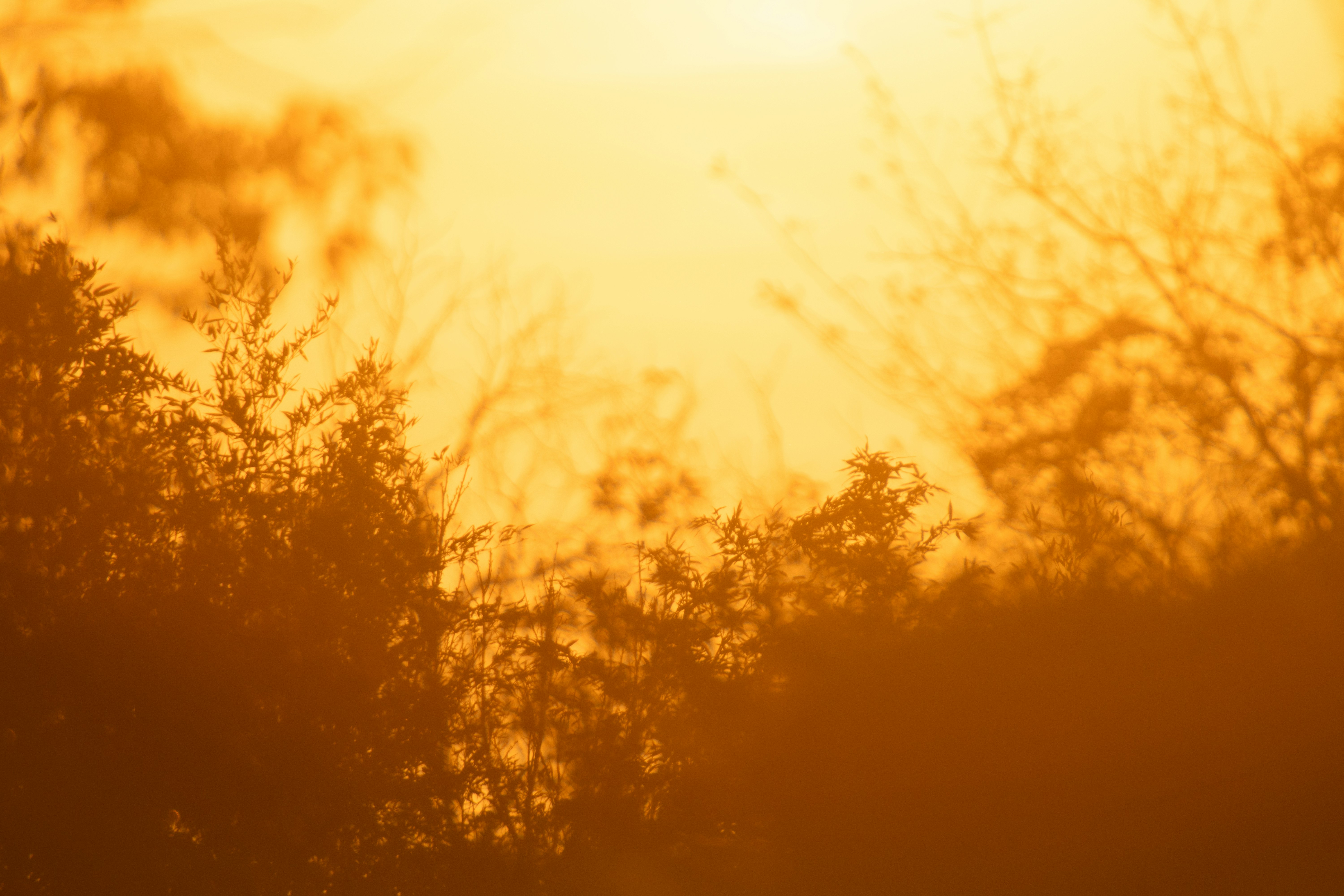 Photo by keita_yoshida_jha