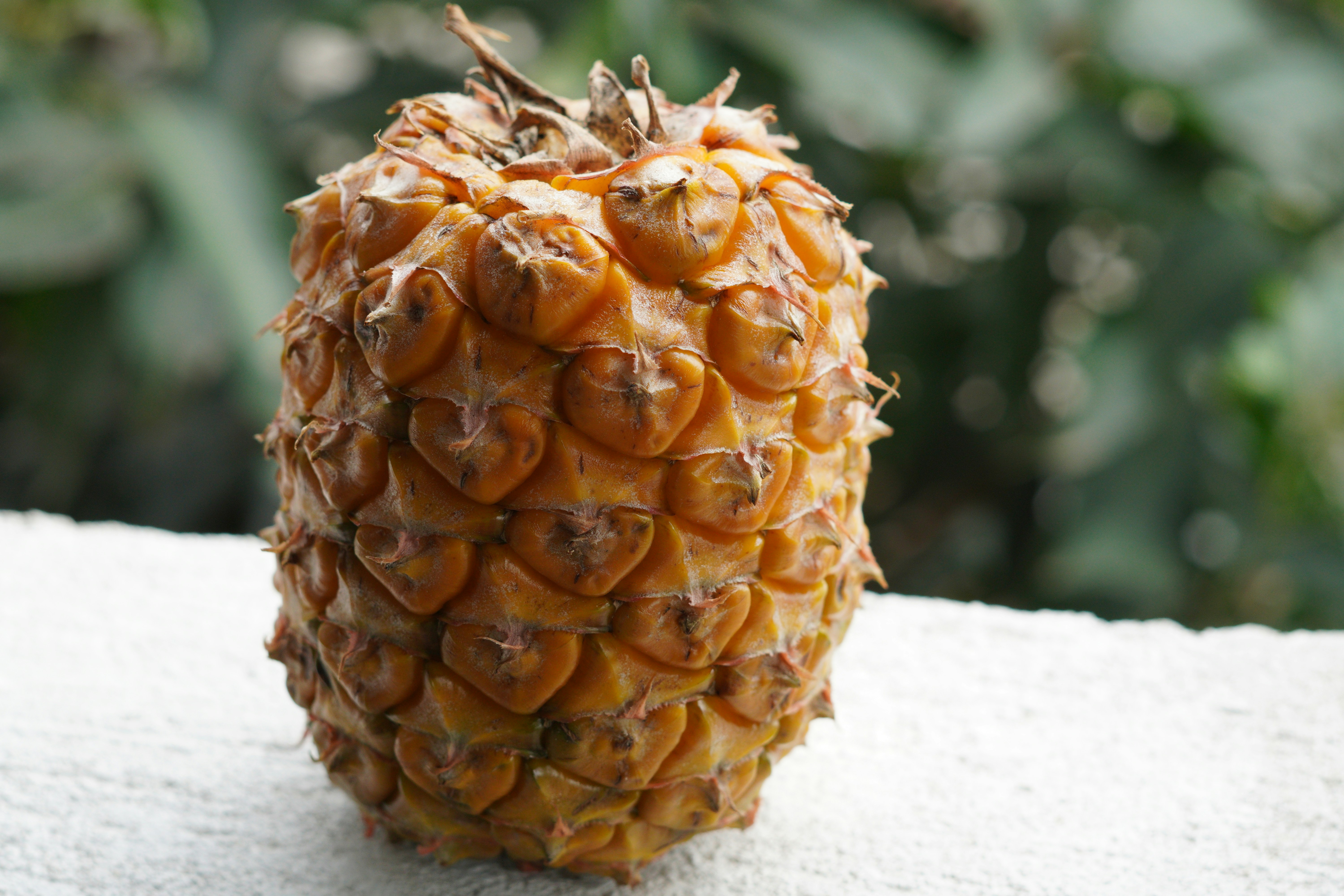A close up of a pineapple on a table, Pineapple