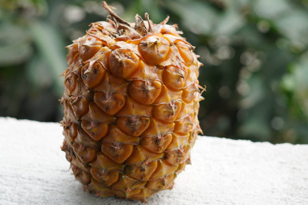 Navigating Cruise Culture: What the Upside-Down Pineapple Symbol Re… — Navigating Cruise Culture, photo 2