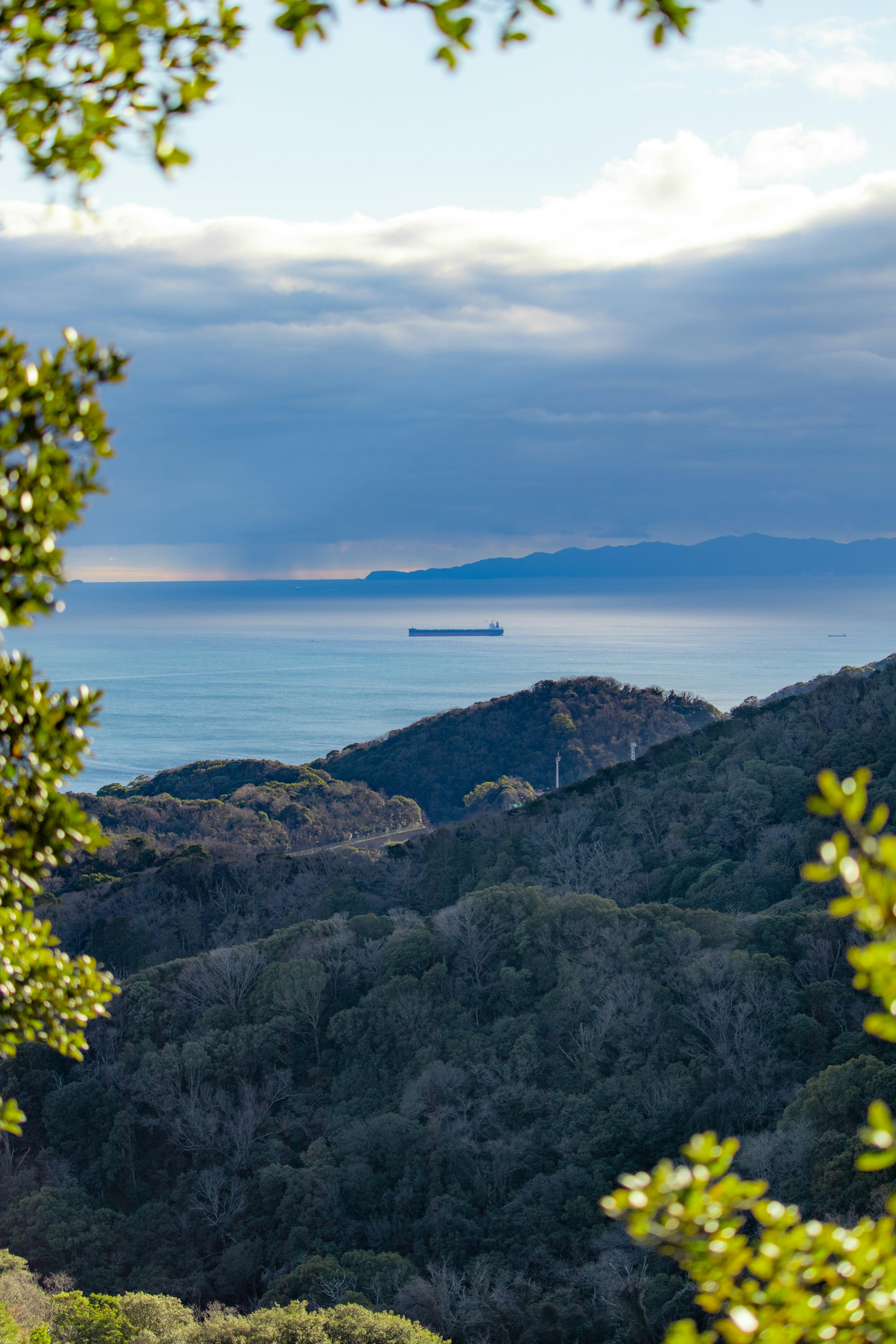 A view of the ocean from a hill top photo – Free Sea Image on Unsplash