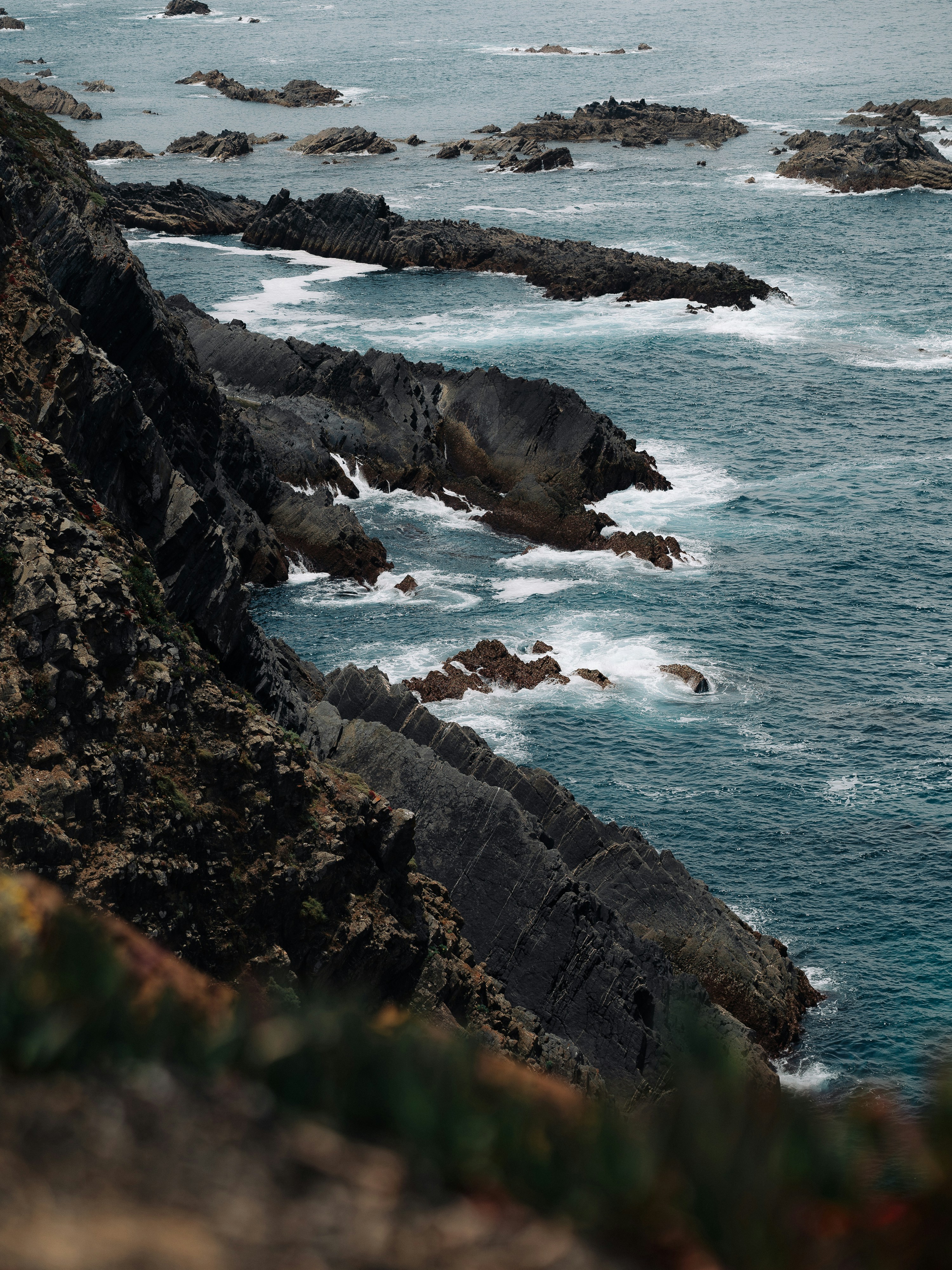 Photo by tetiana_gry