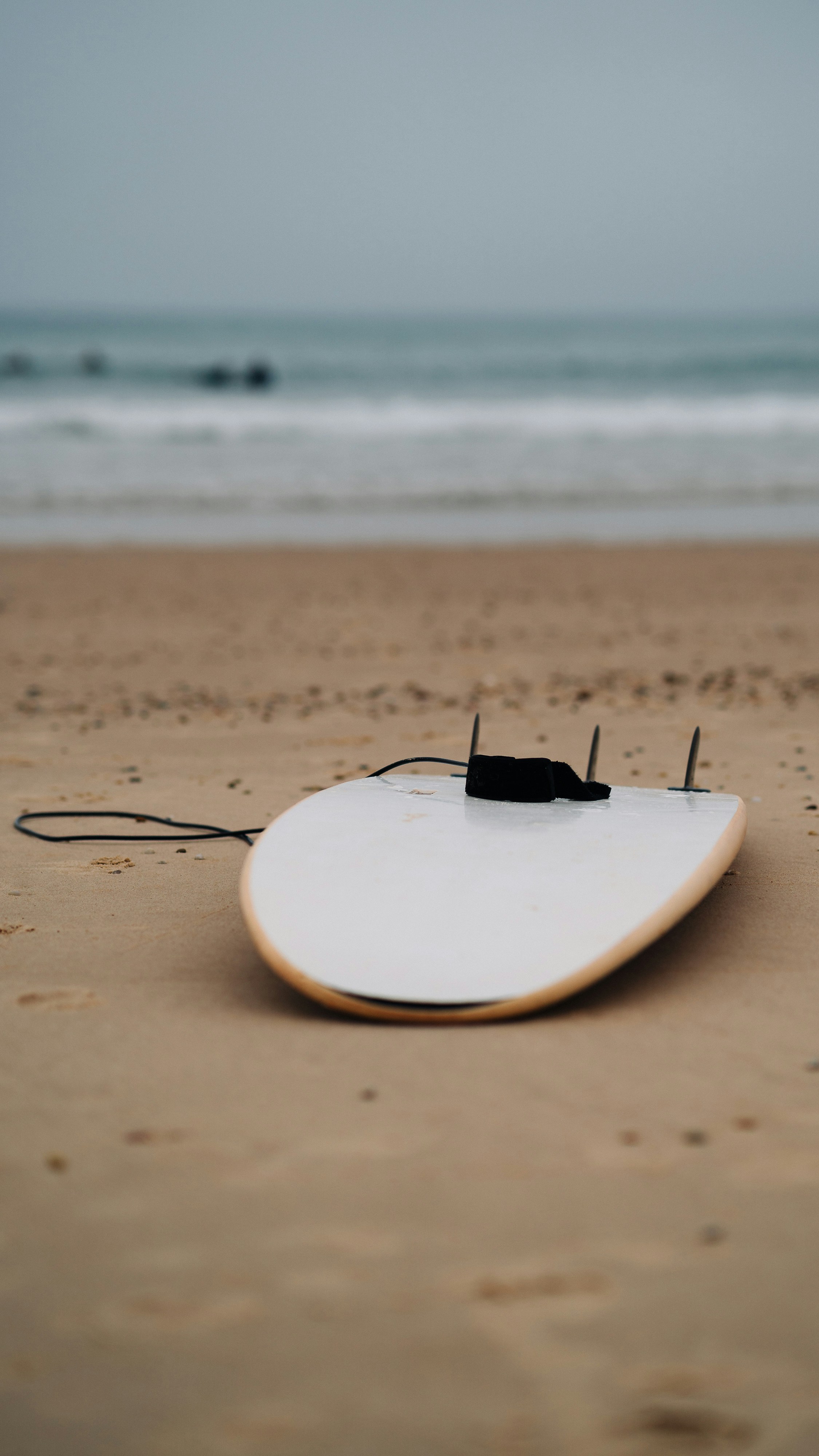 Photo by tetiana_gry