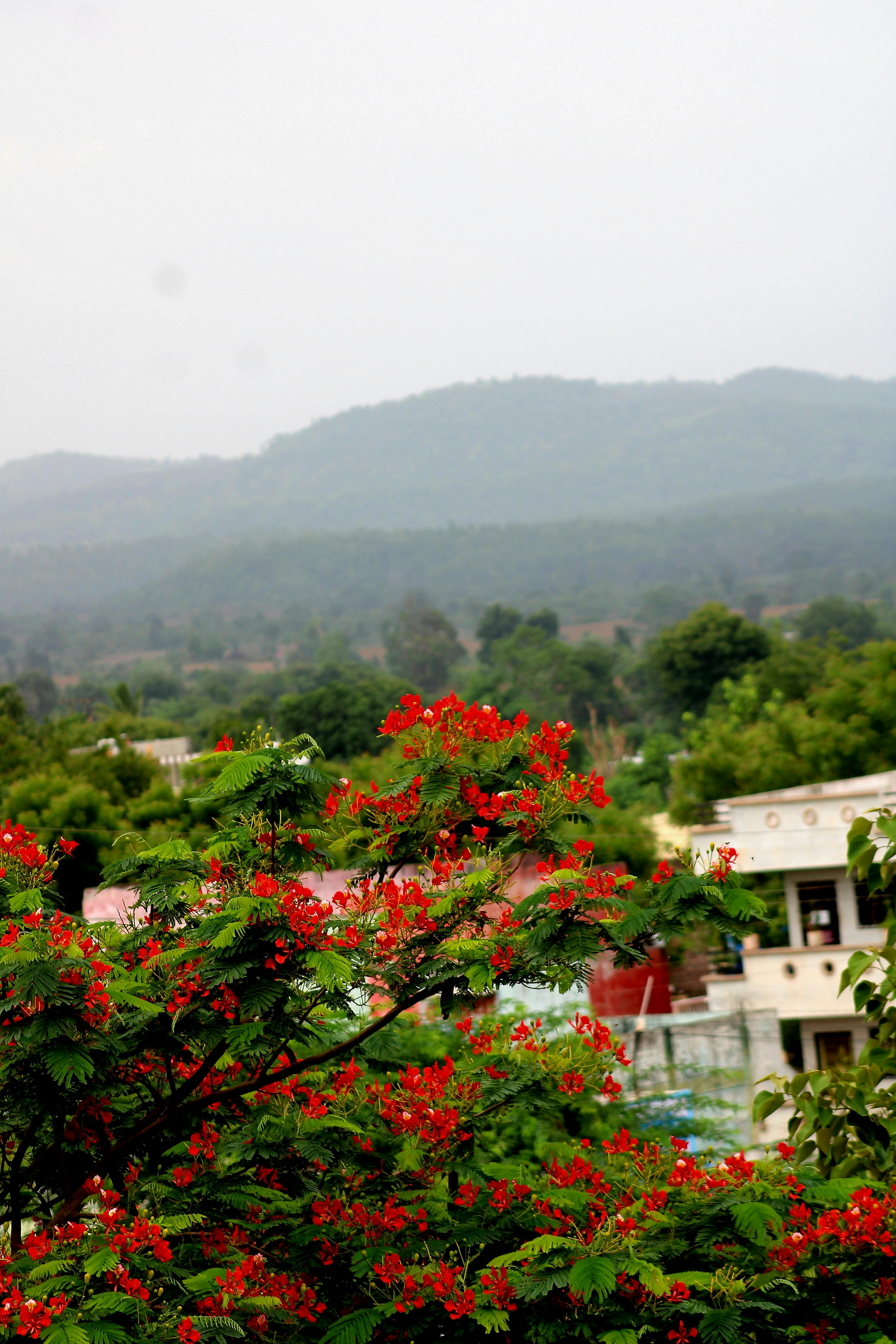 Photo by kailashmaratha55