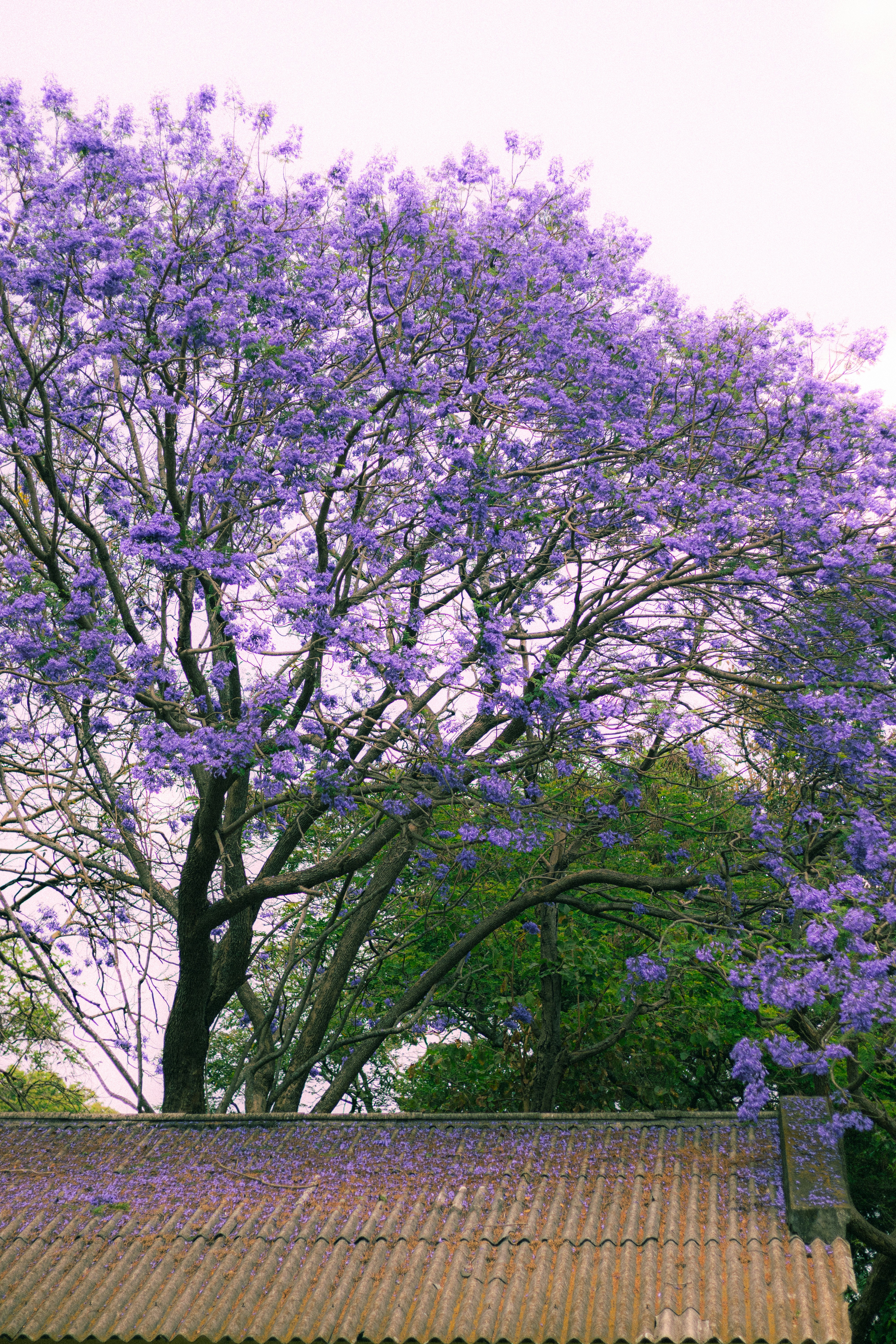 Photo by dhilipantony