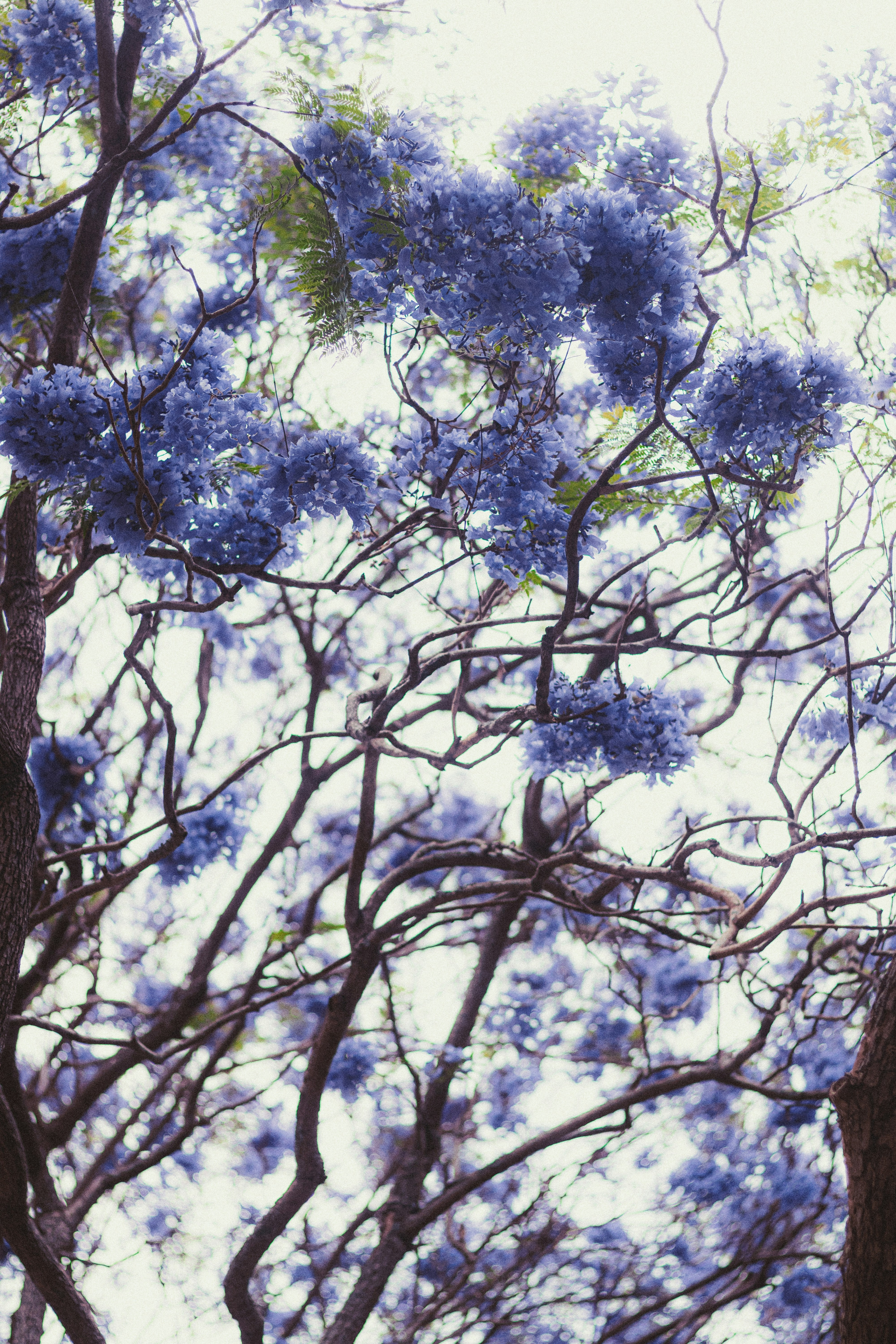 Photo by dhilipantony