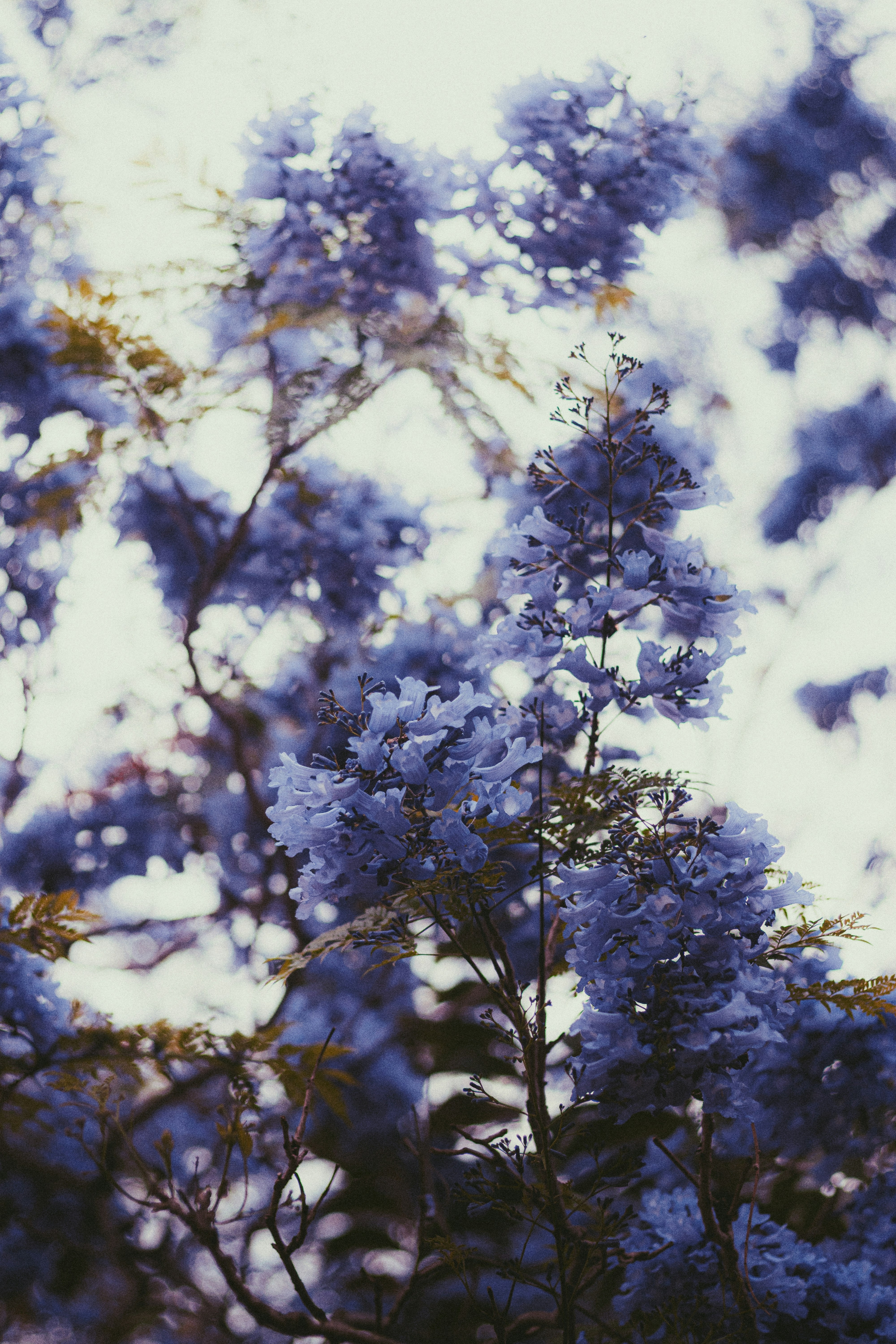 Photo by dhilipantony