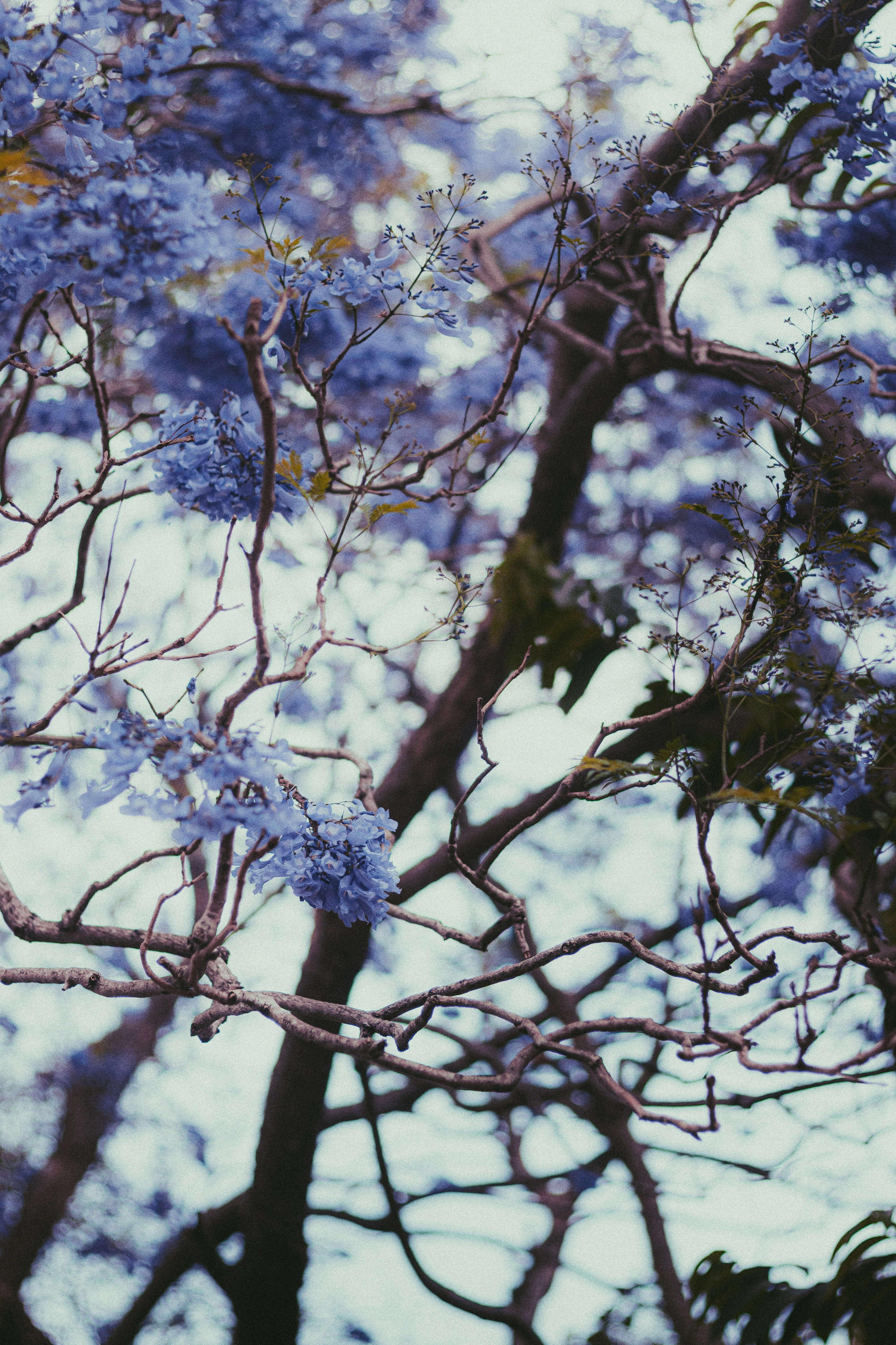 Photo by dhilipantony