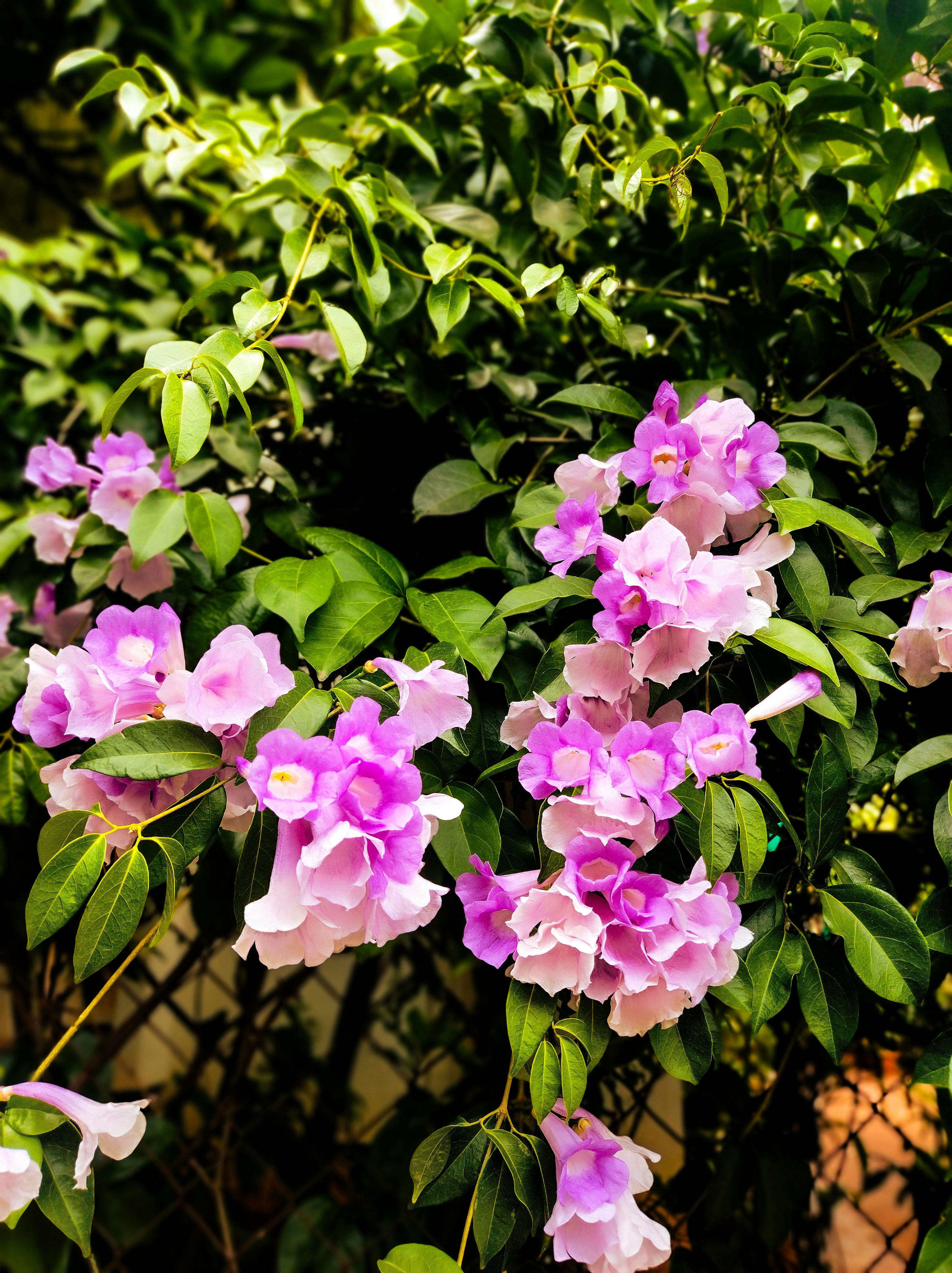 Photo by priyankagautam03