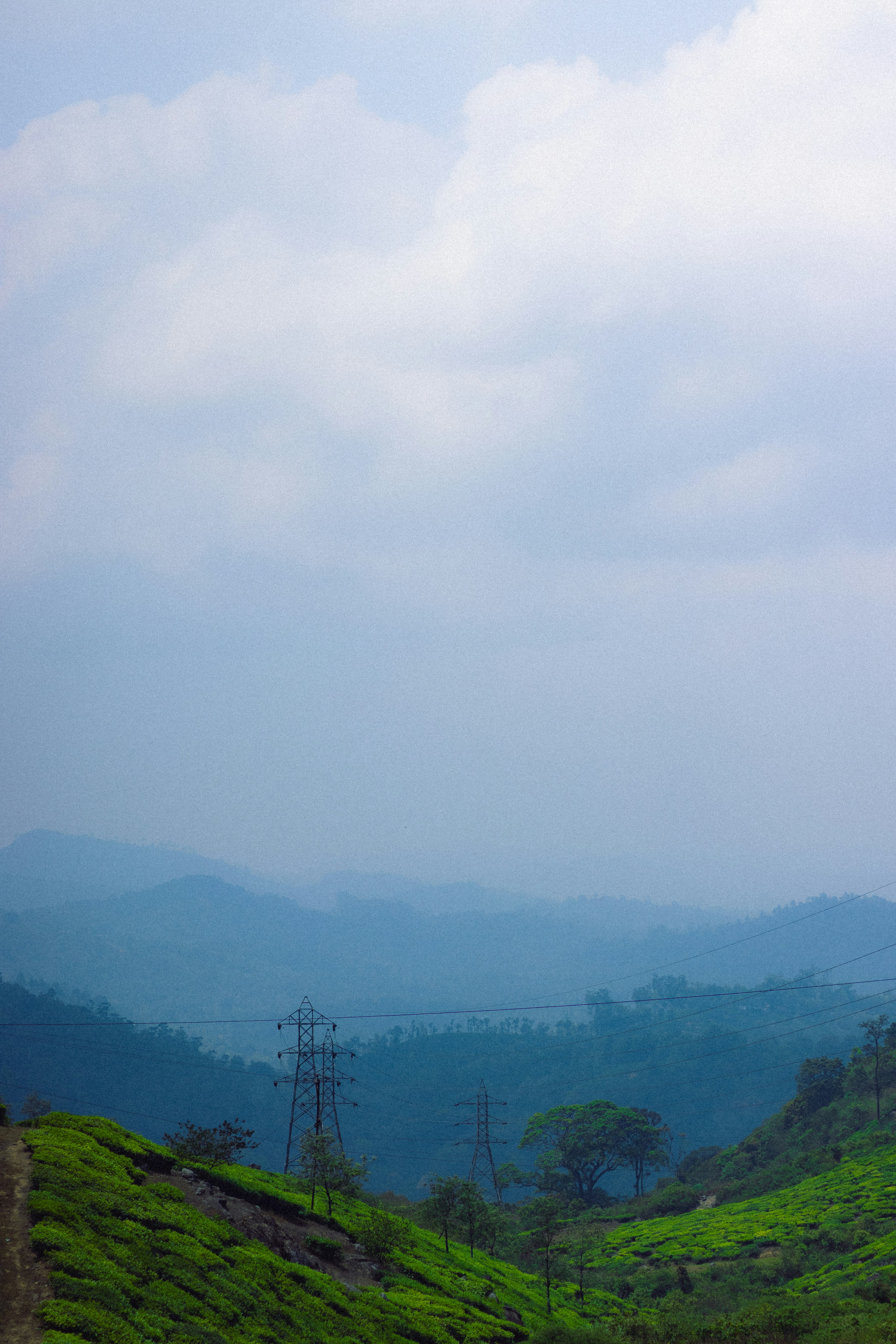 Photo by dhilipantony