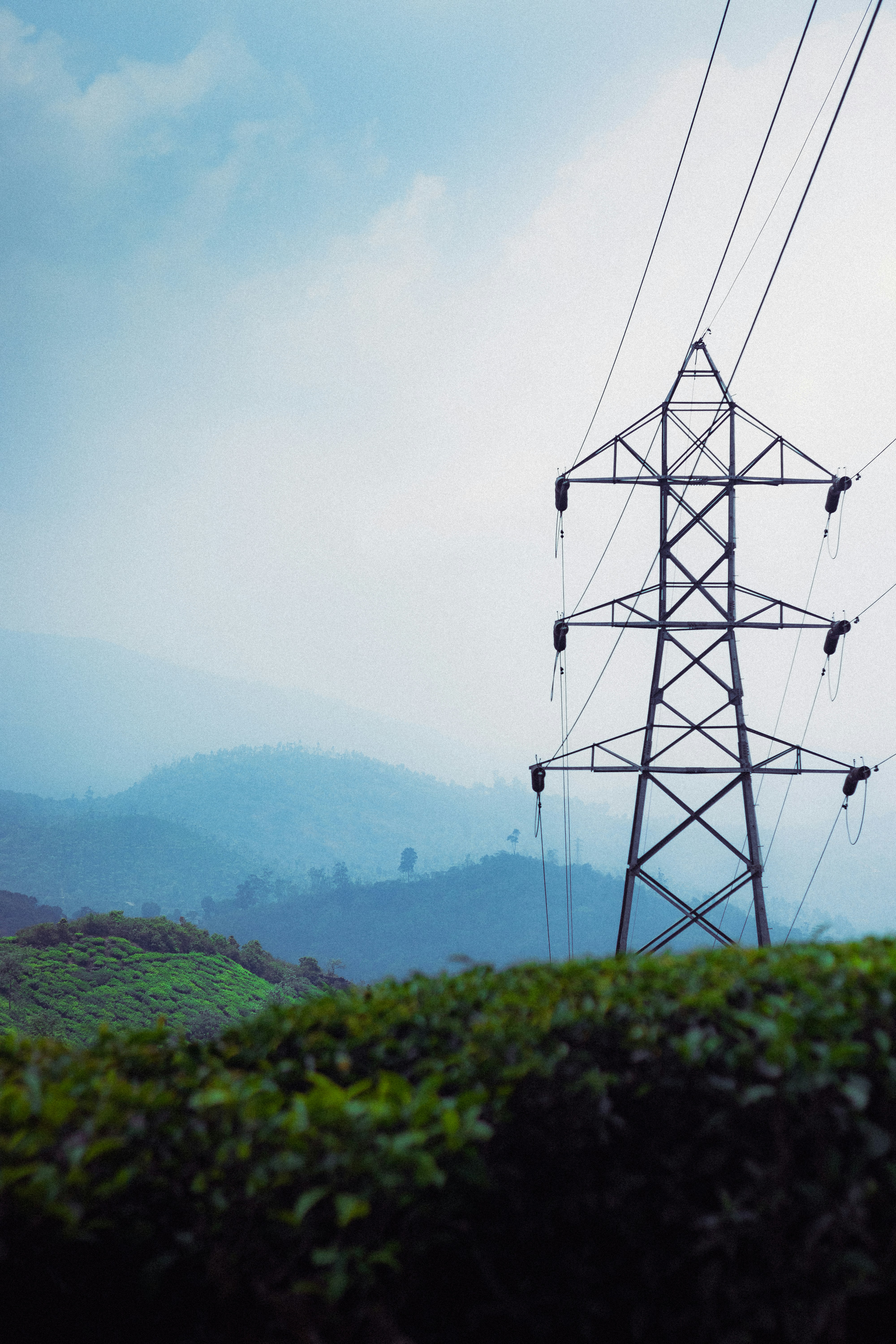 Photo by dhilipantony