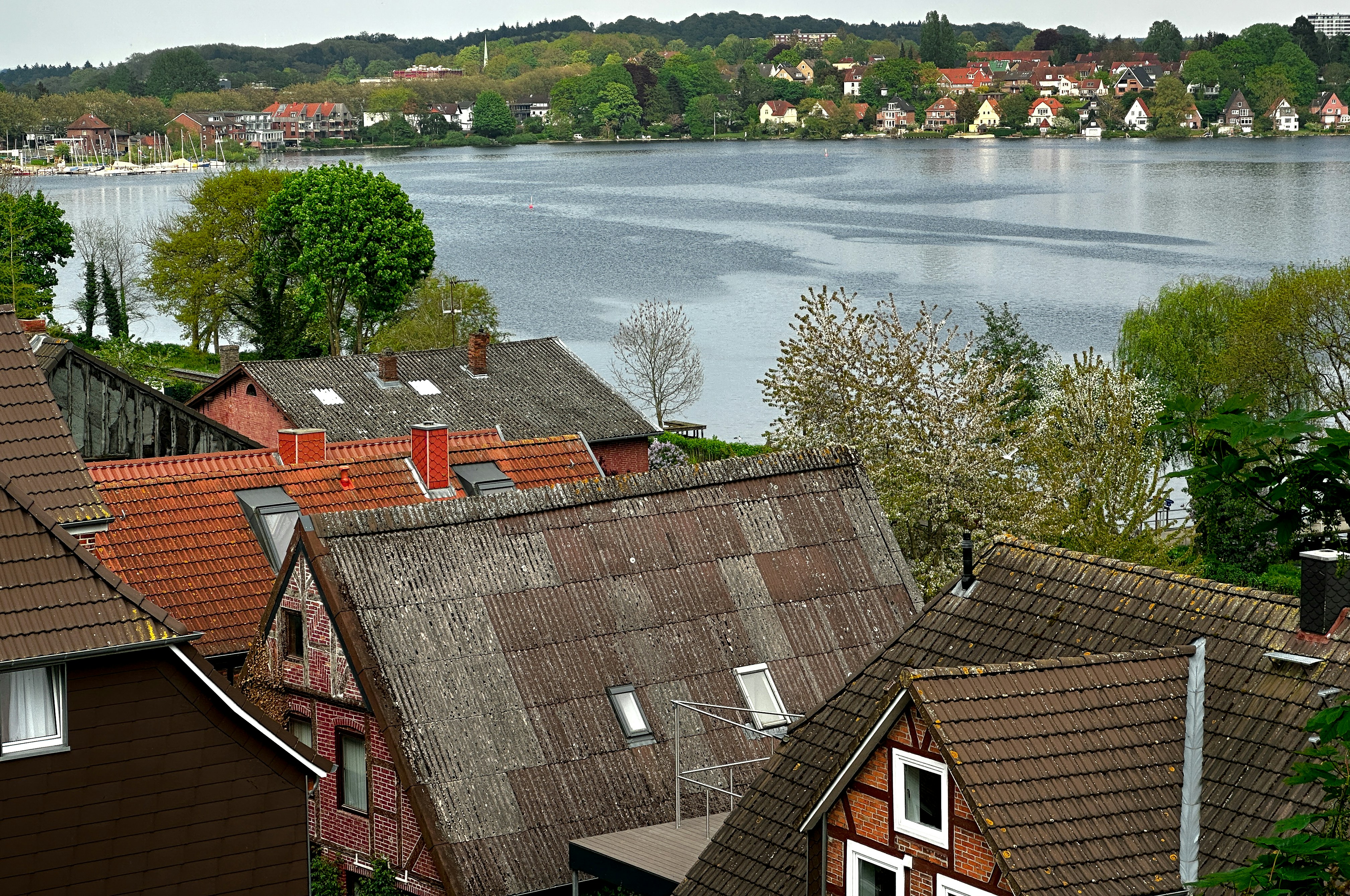 artificial intelligence trends