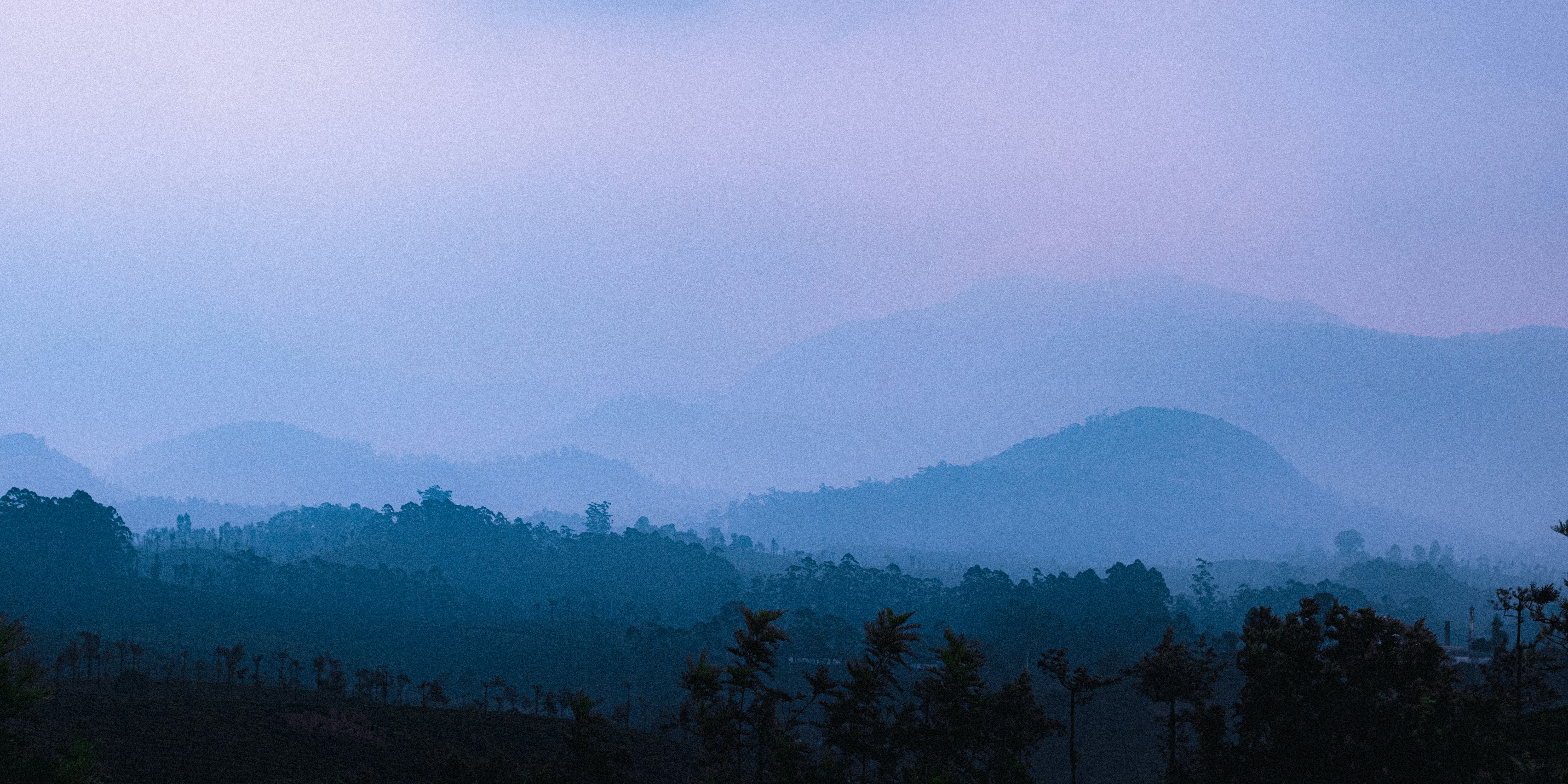 Photo by dhilipantony