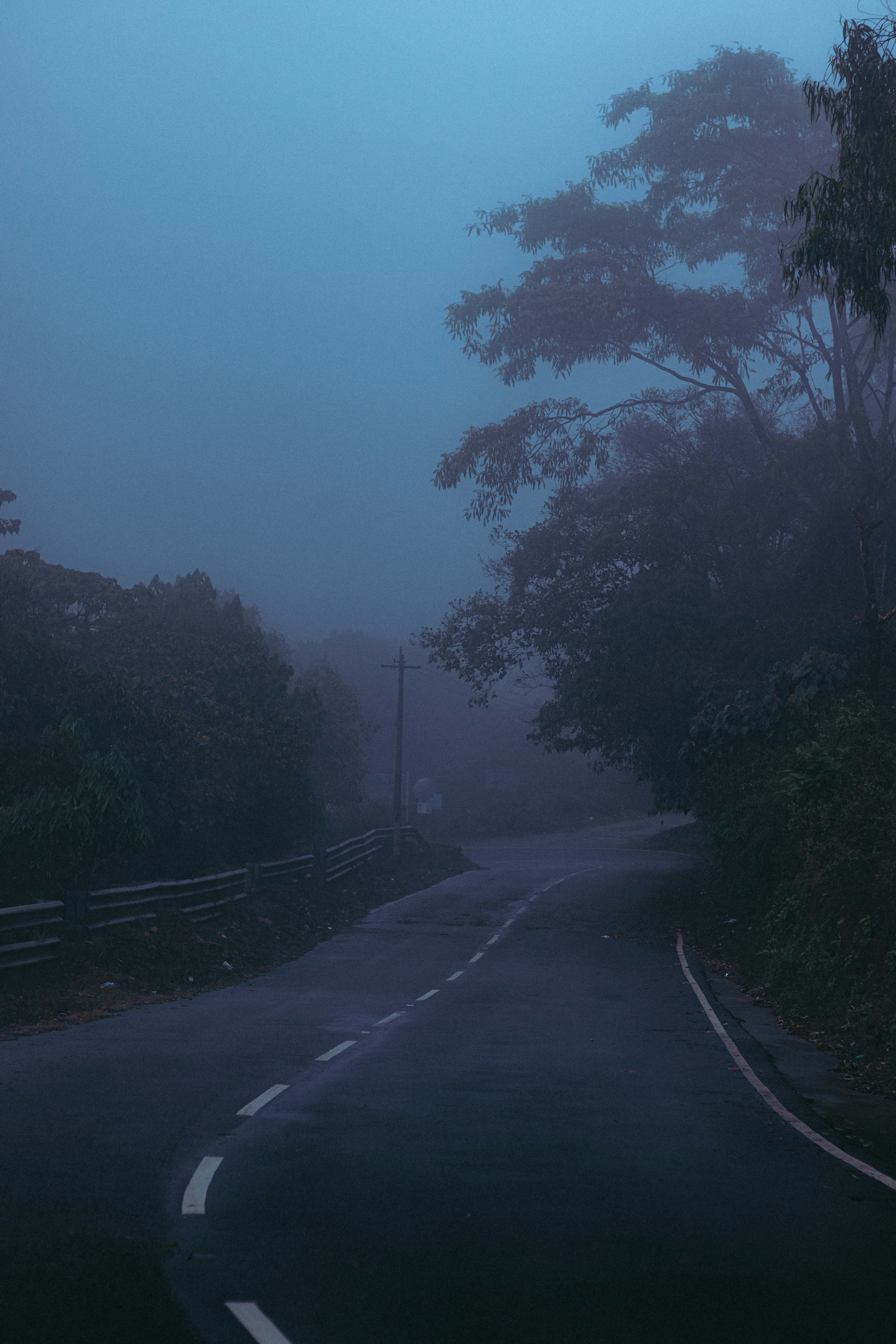 Photo by dhilipantony