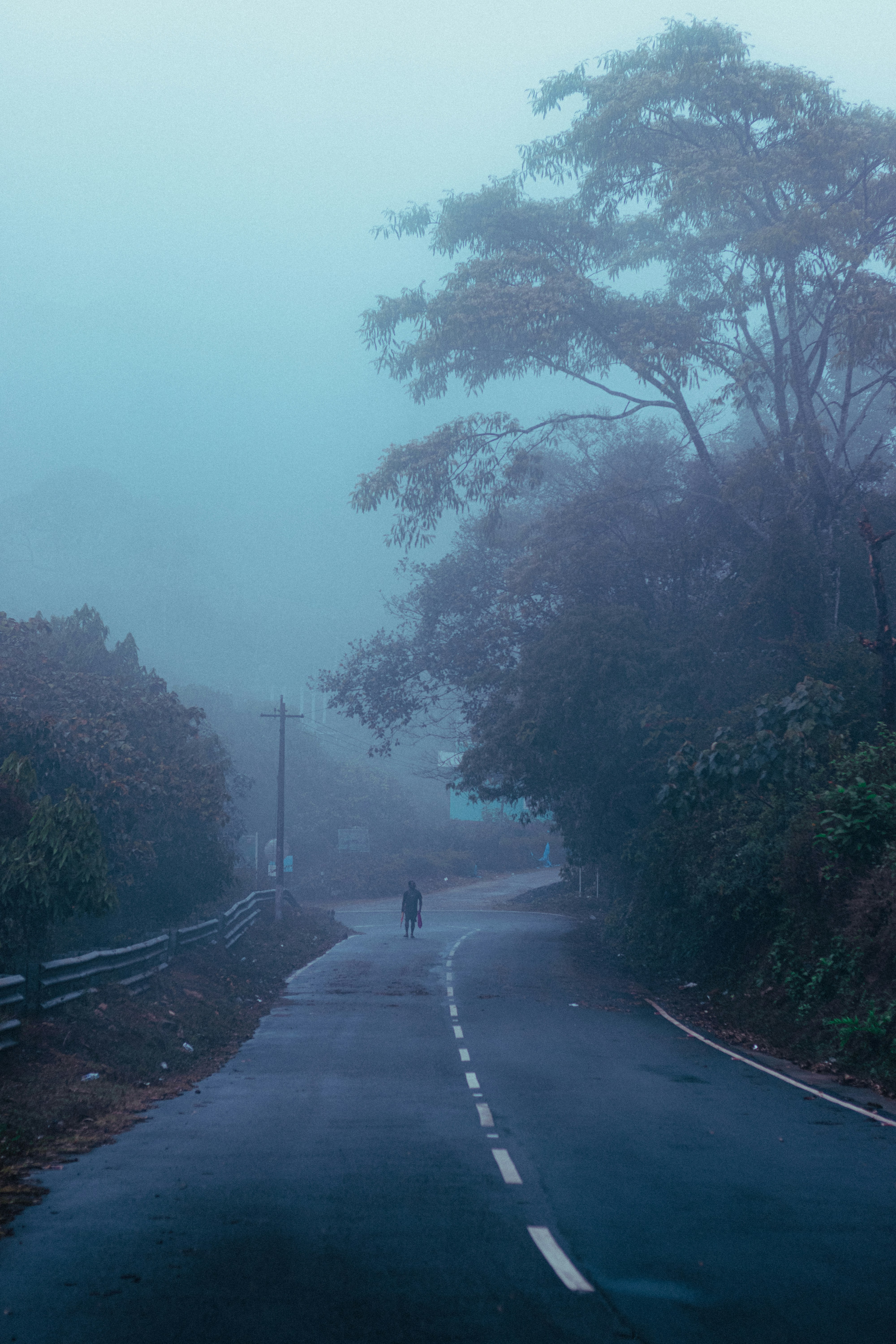 Photo by dhilipantony