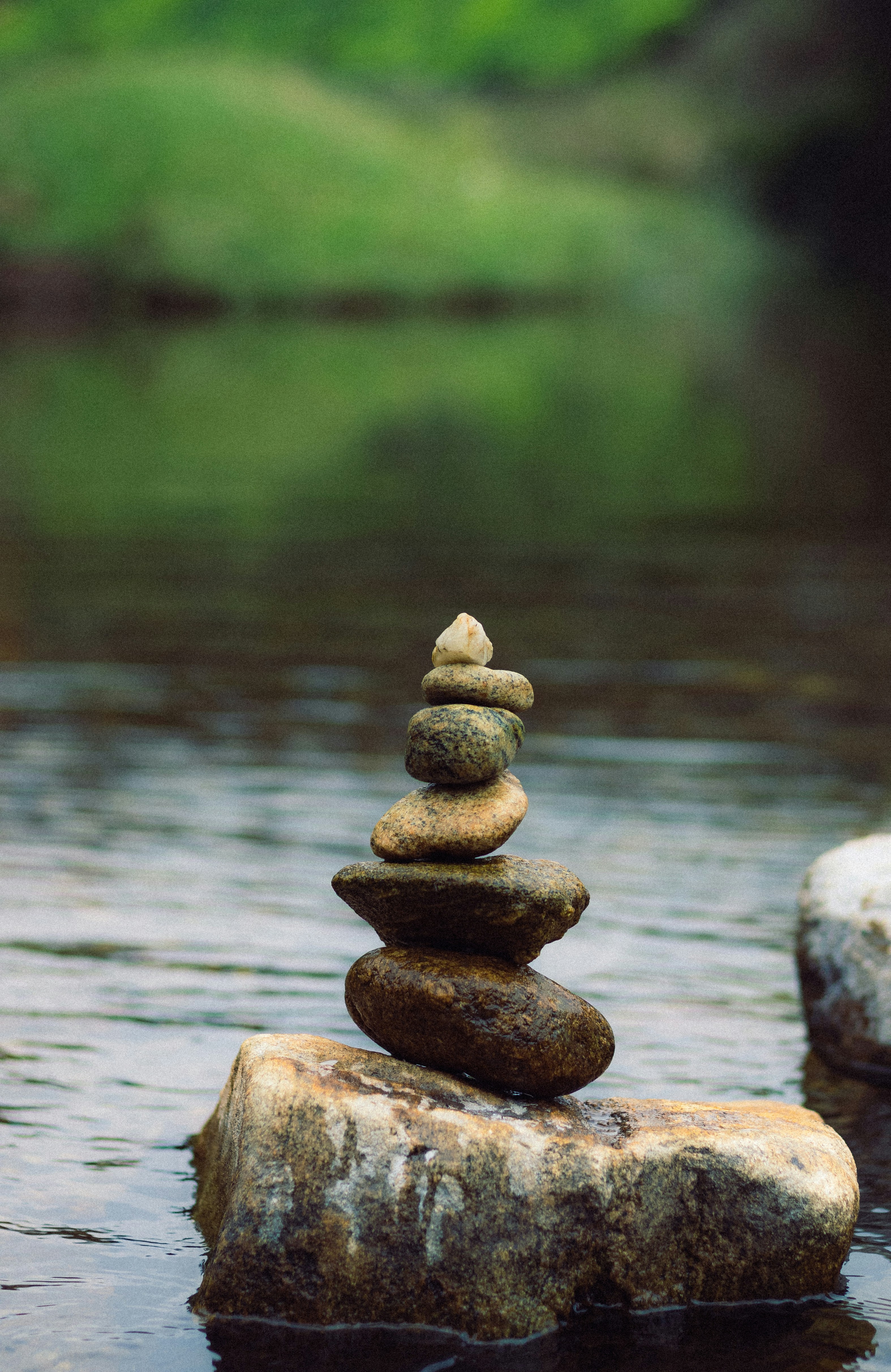 Photo by dhilipantony