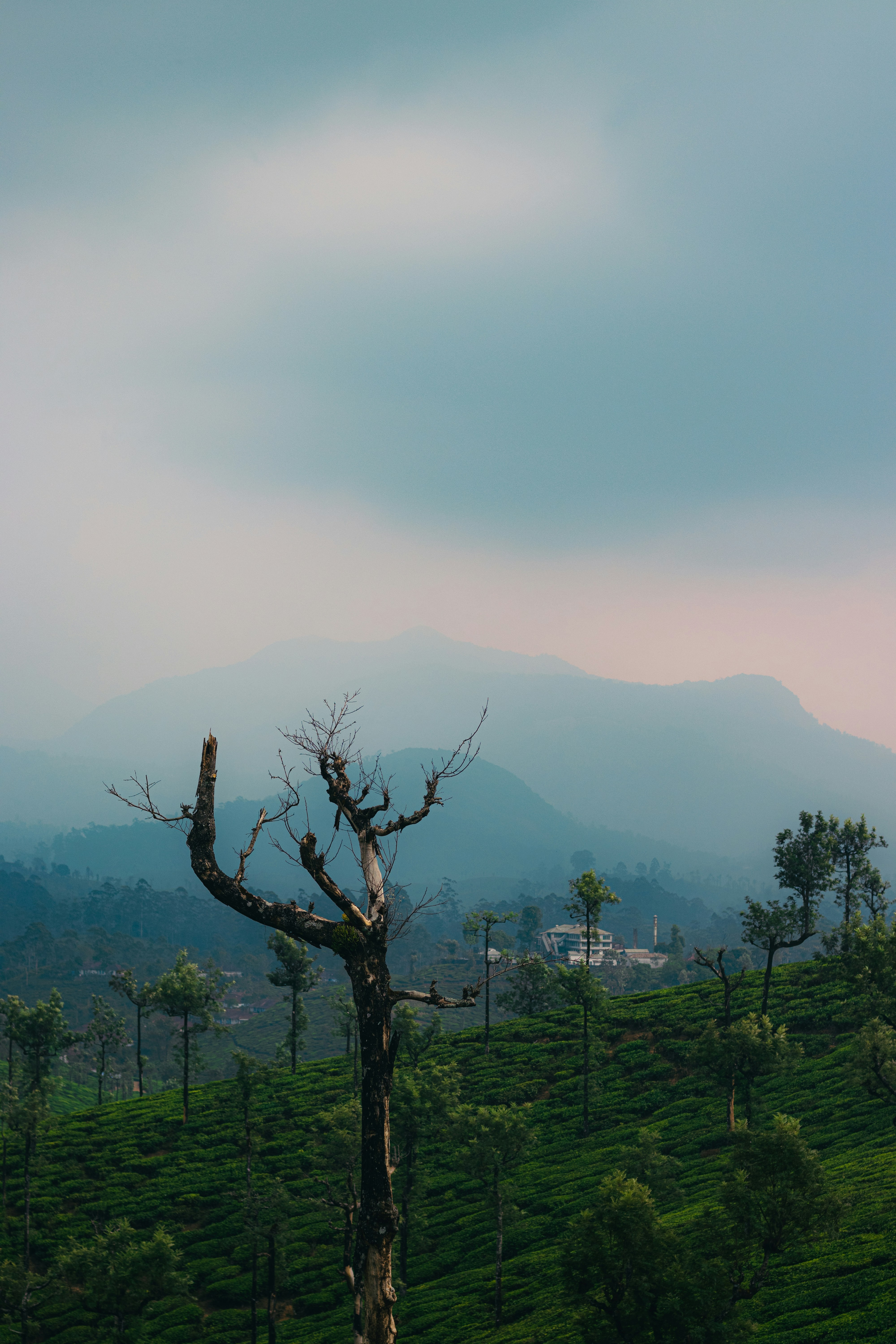 Photo by dhilipantony