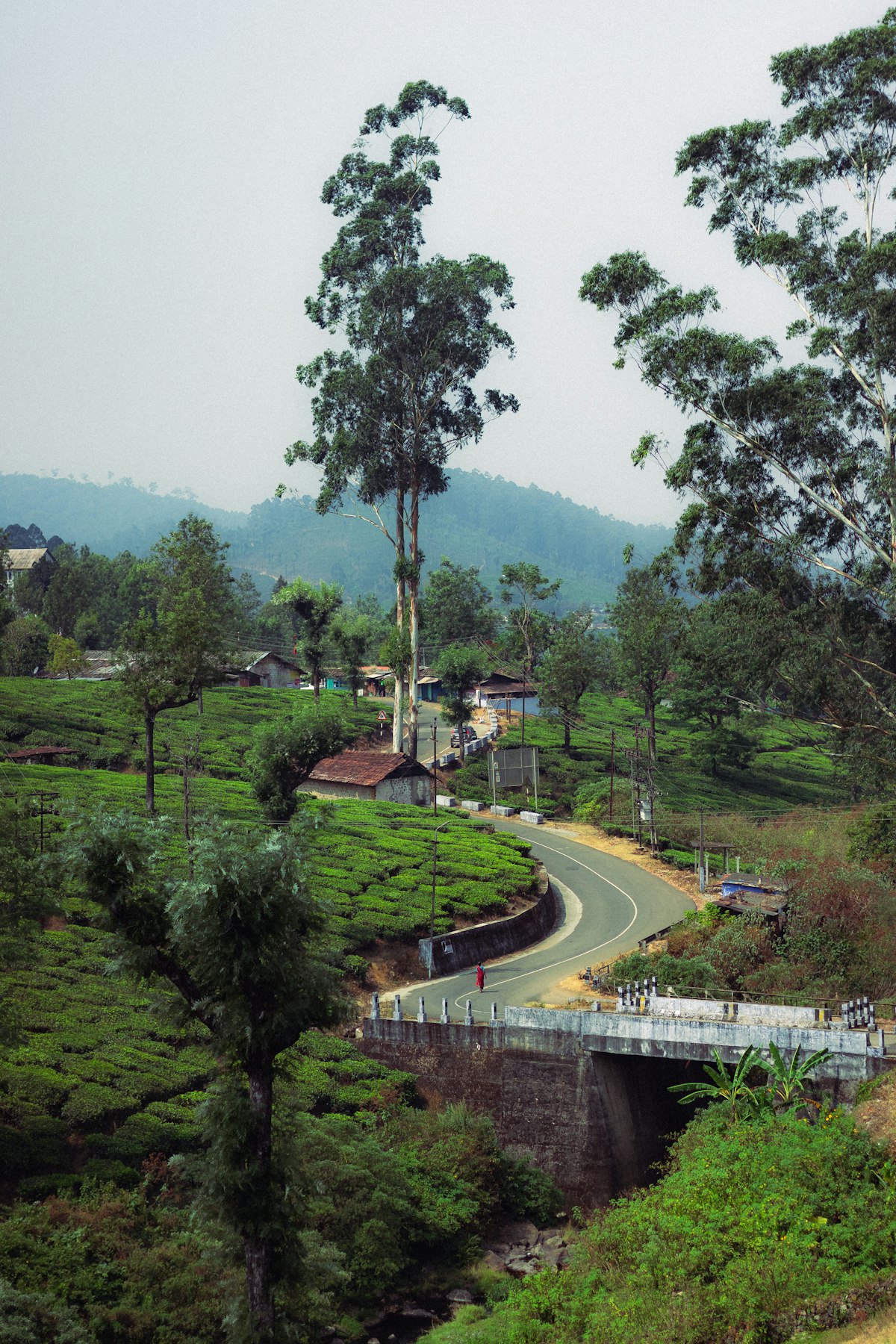 Yercaud Hill Station & Tiruvannamalai Quick Escape