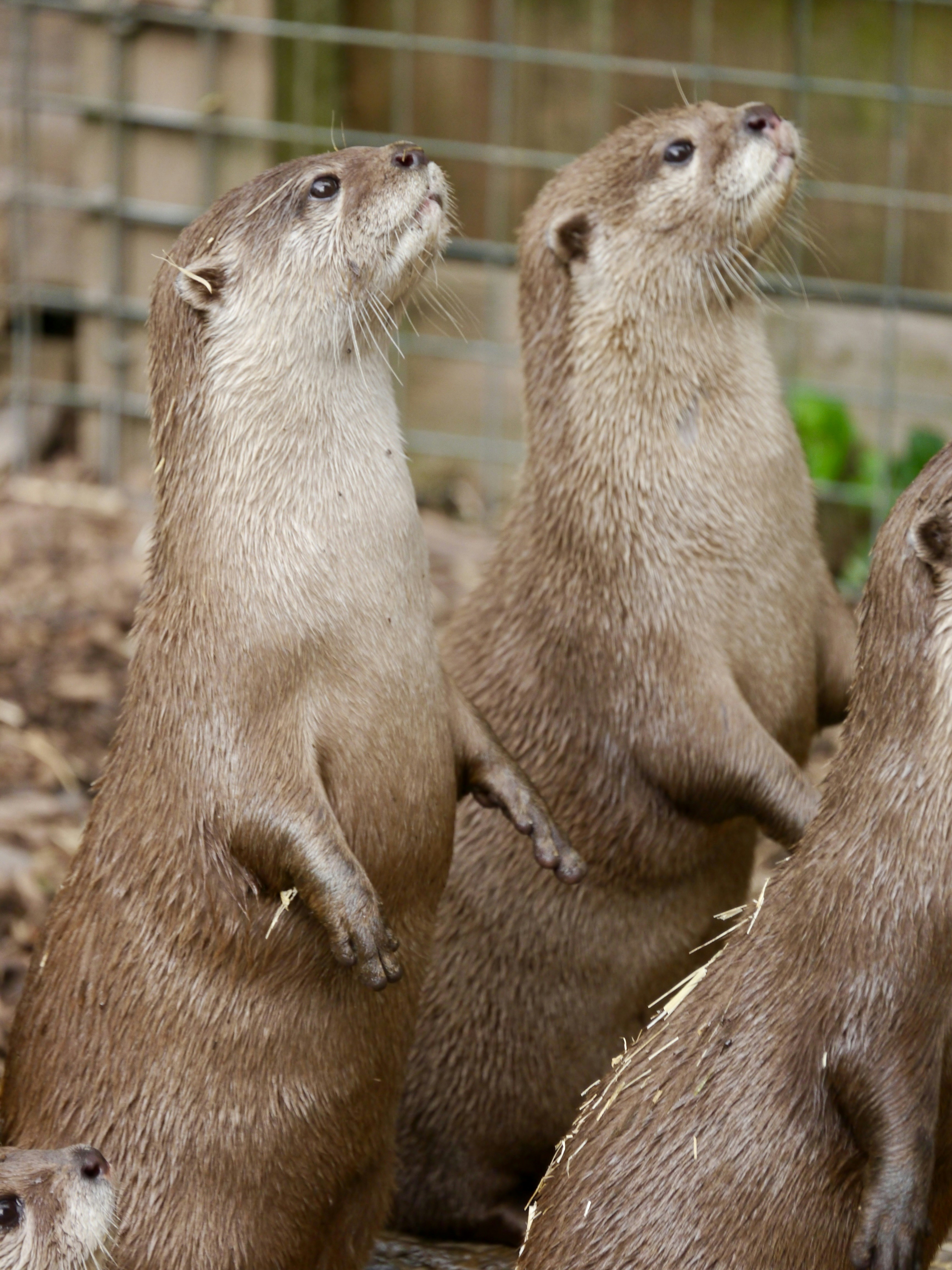 Photo by iqsphotography