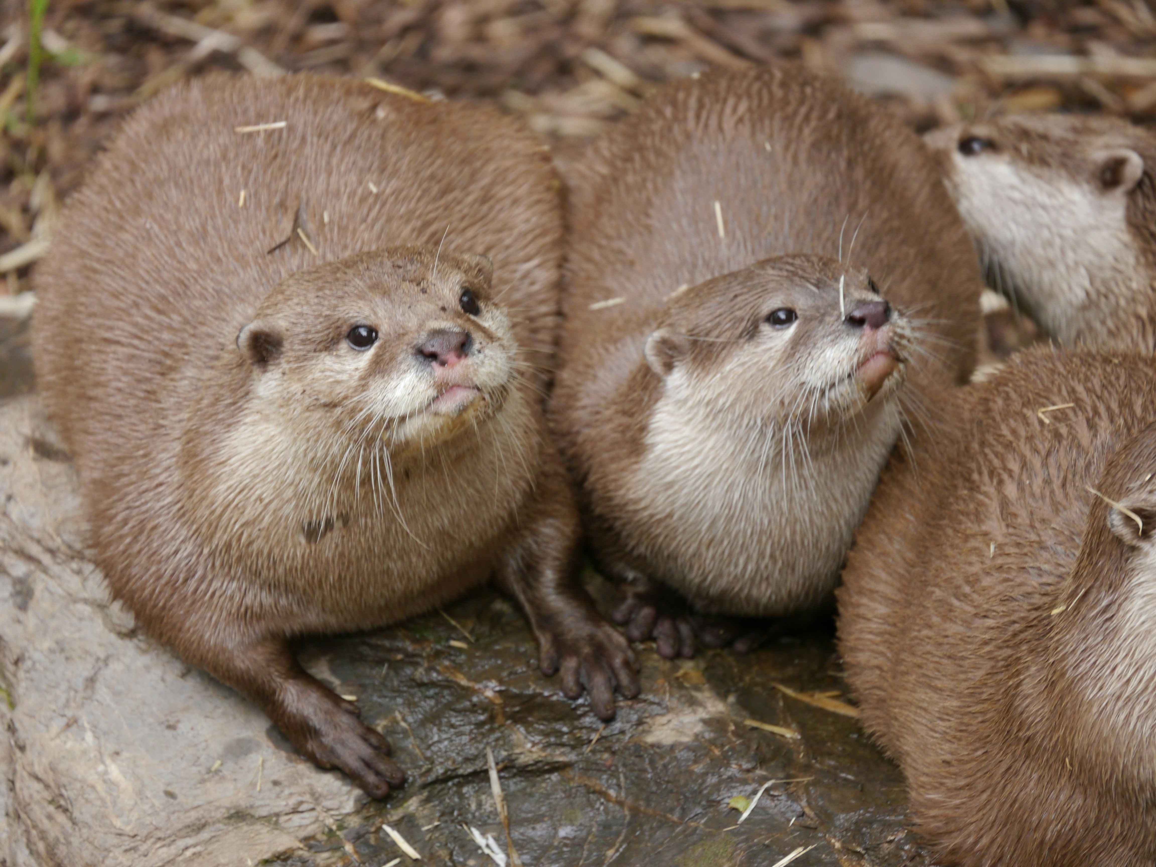 Photo by iqsphotography