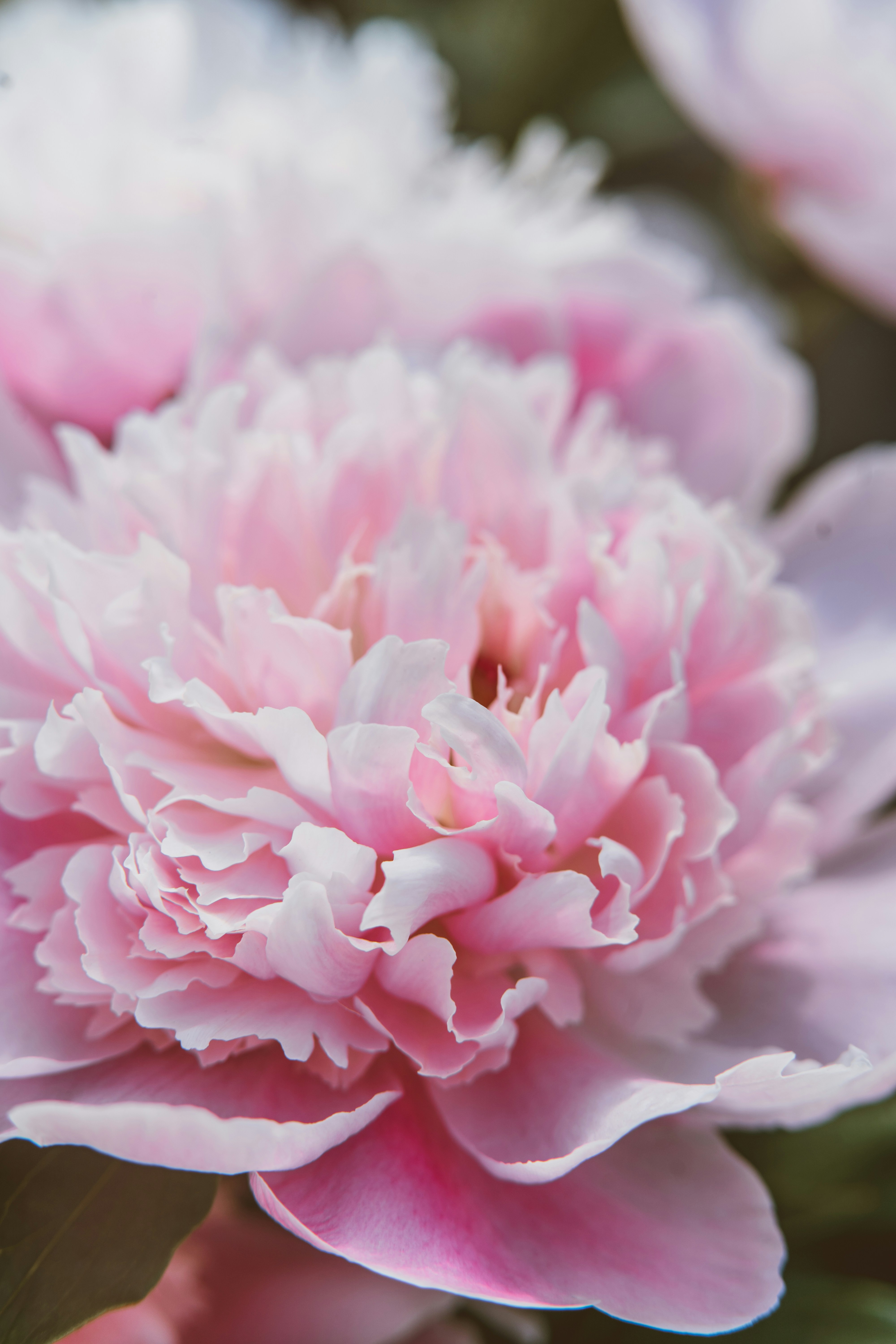 Photo by anamnesis33