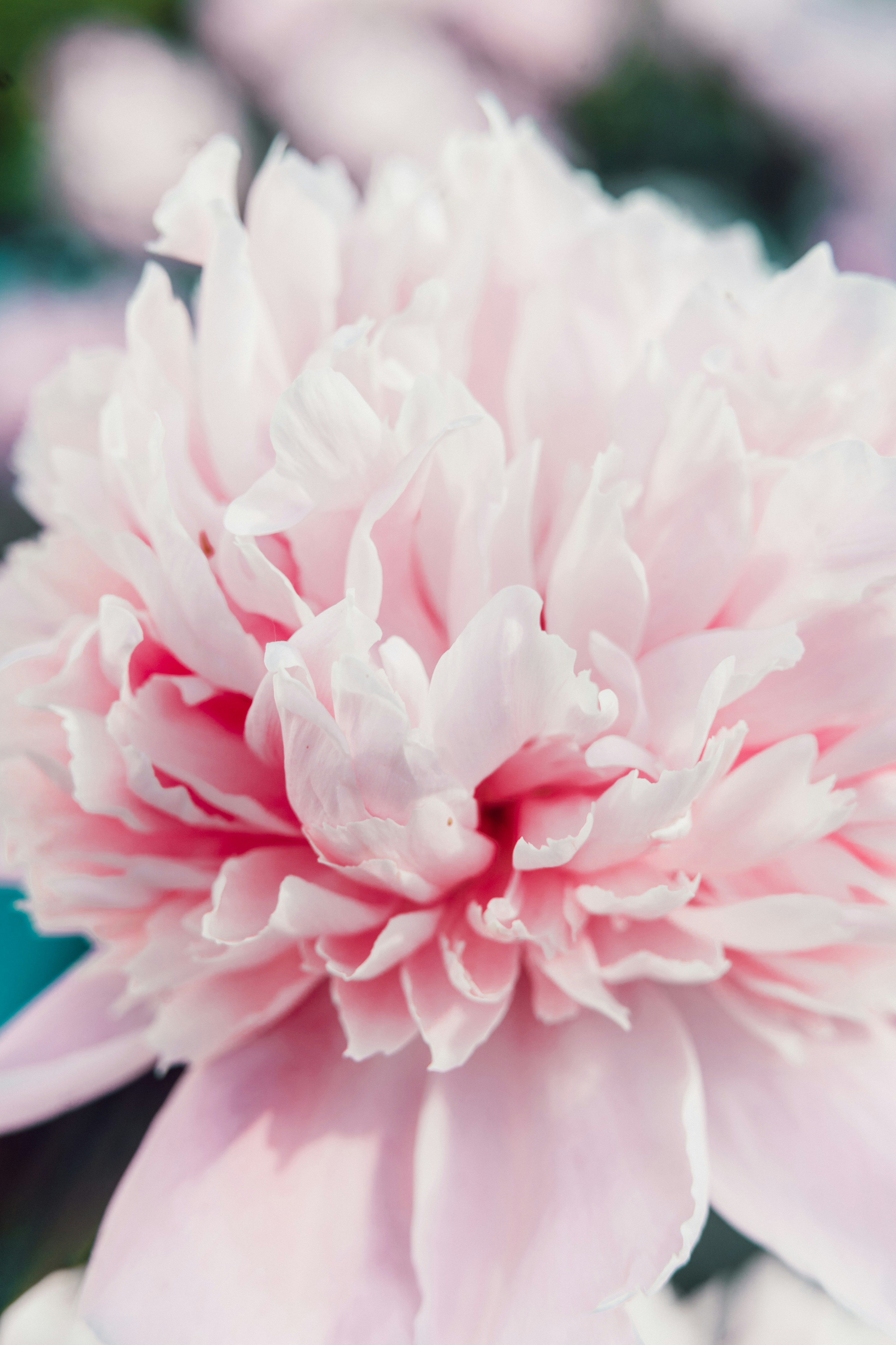 Photo by anamnesis33