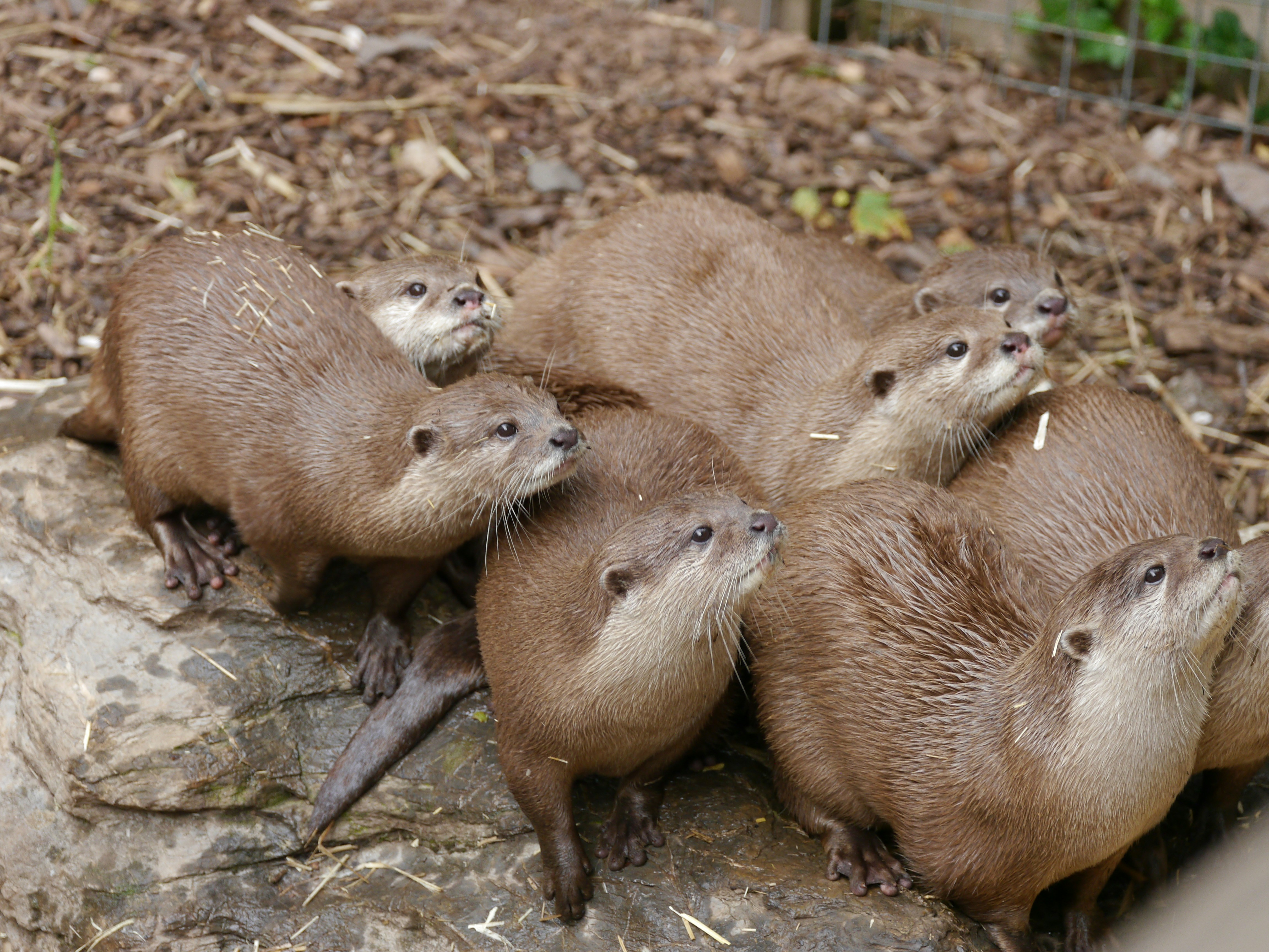 Photo by iqsphotography