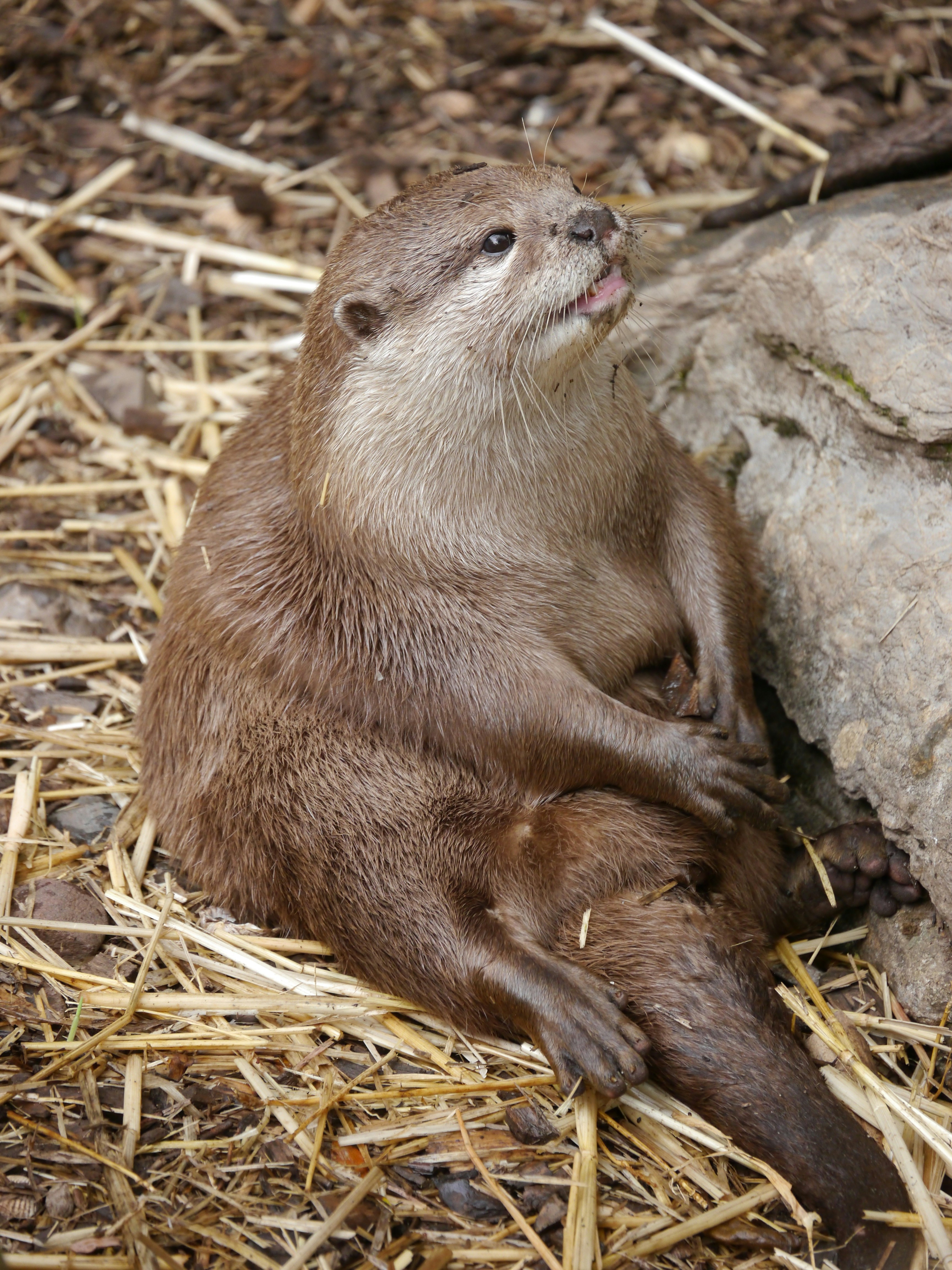 Photo by iqsphotography