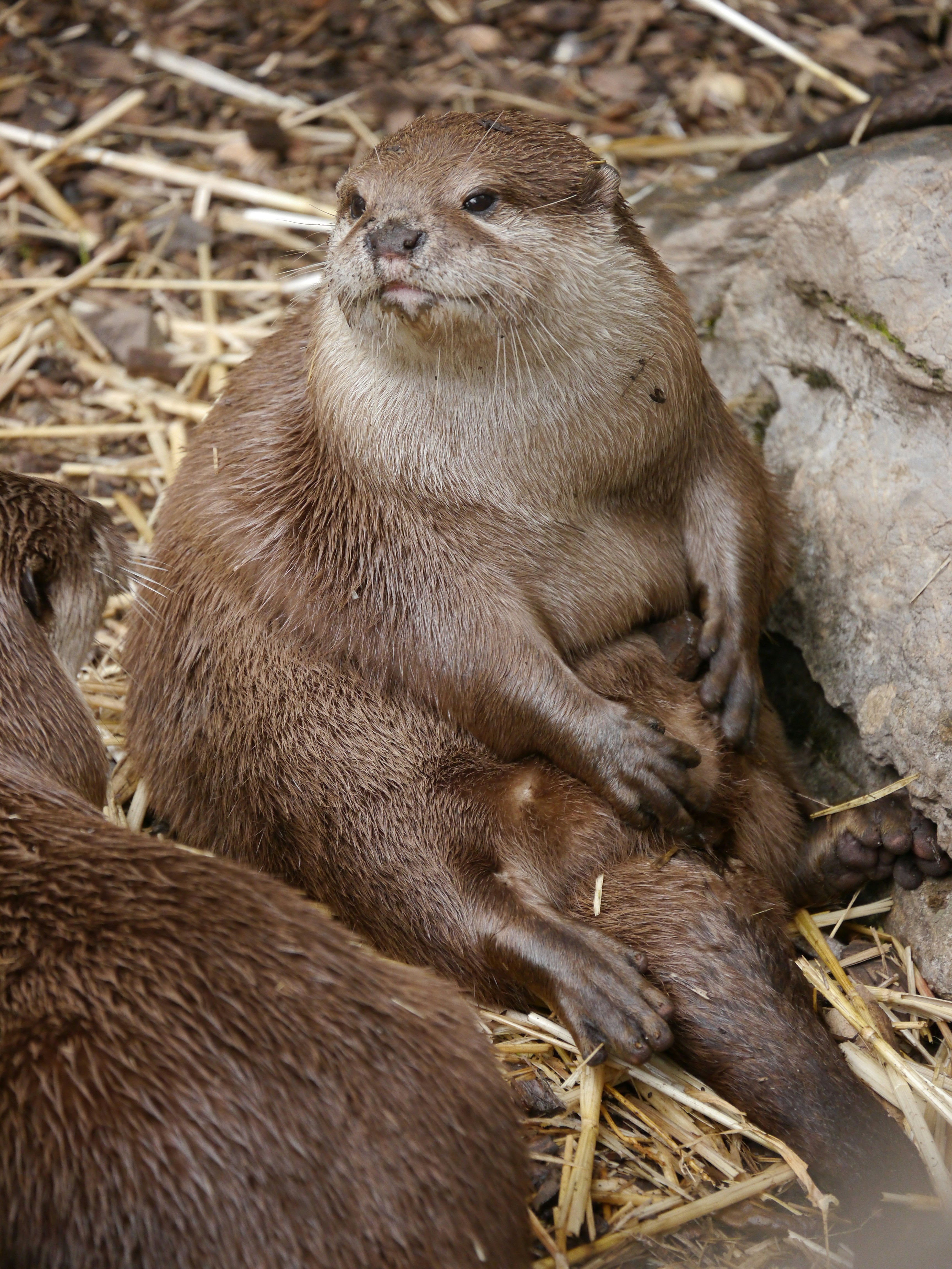 Photo by iqsphotography