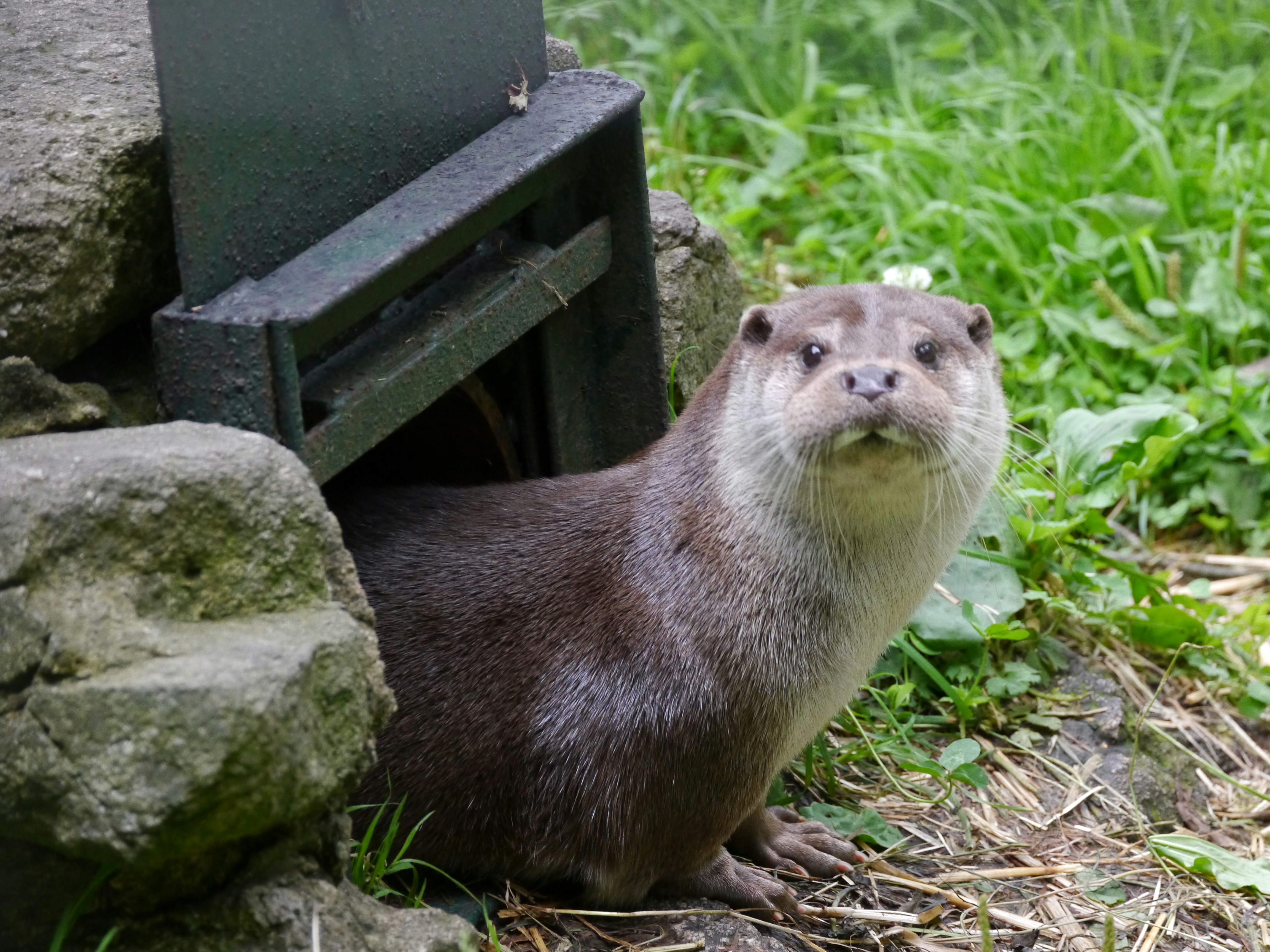 Photo by iqsphotography