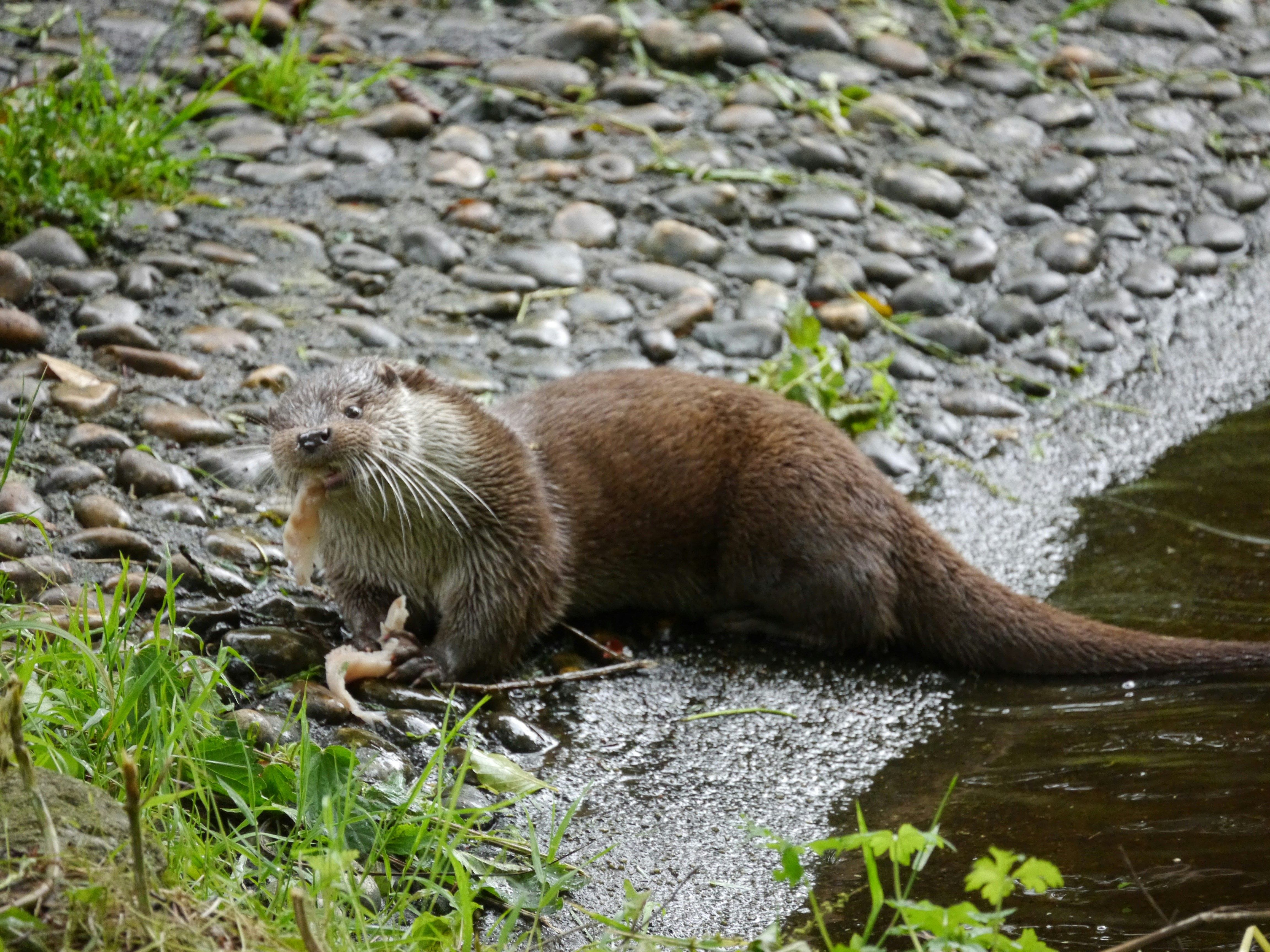 Photo by iqsphotography