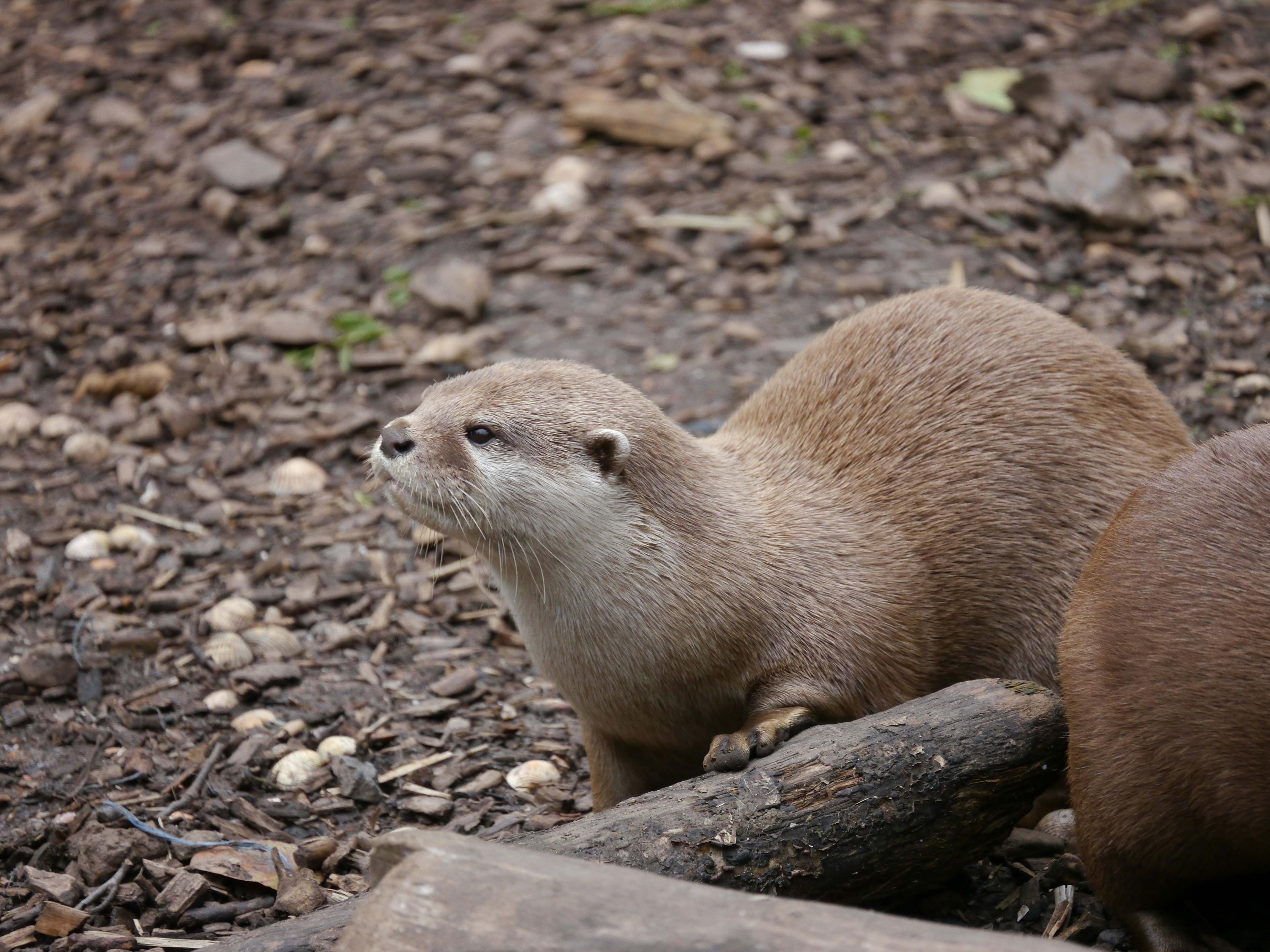 Photo by iqsphotography