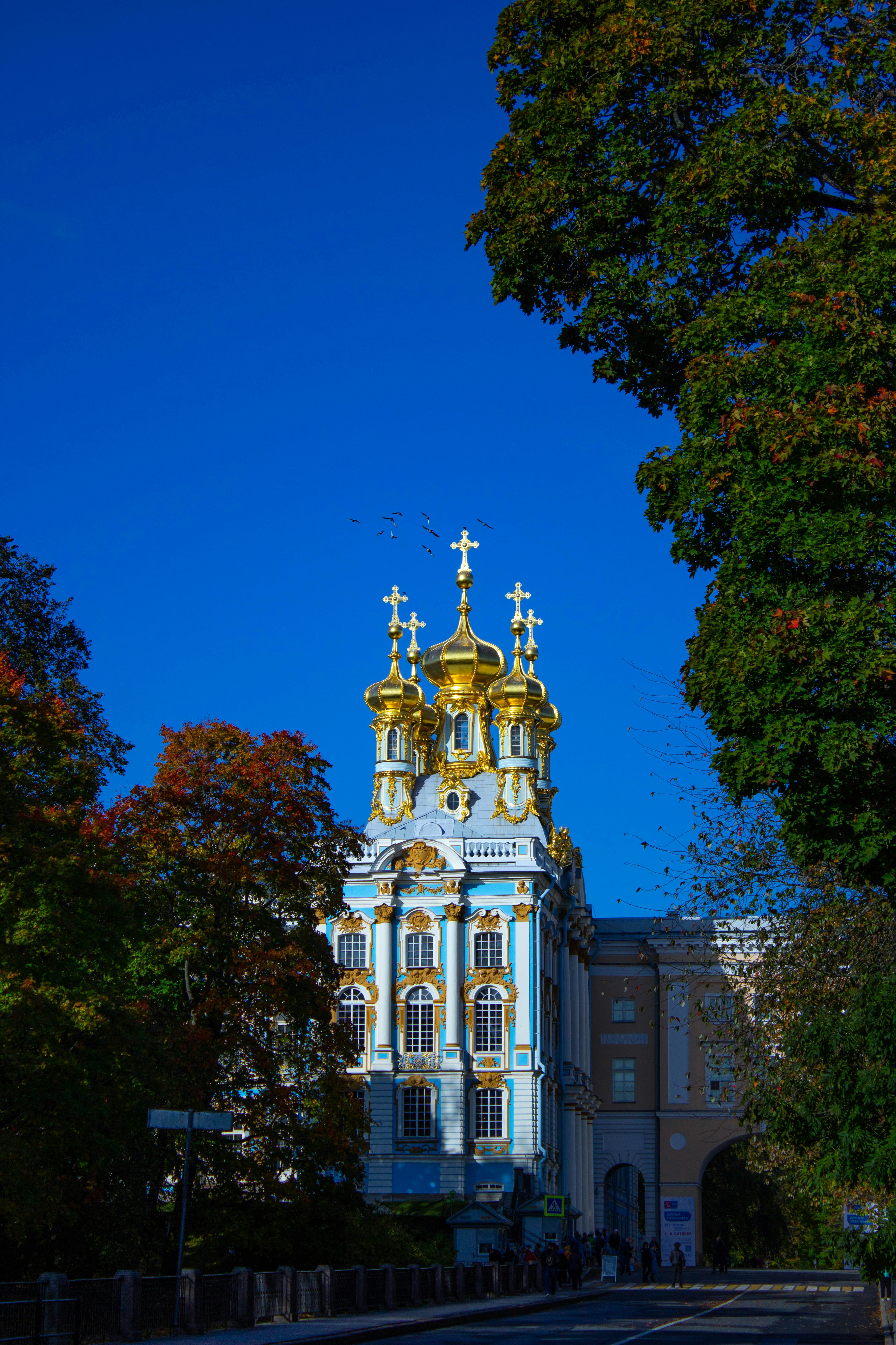 Photo by stasyabis