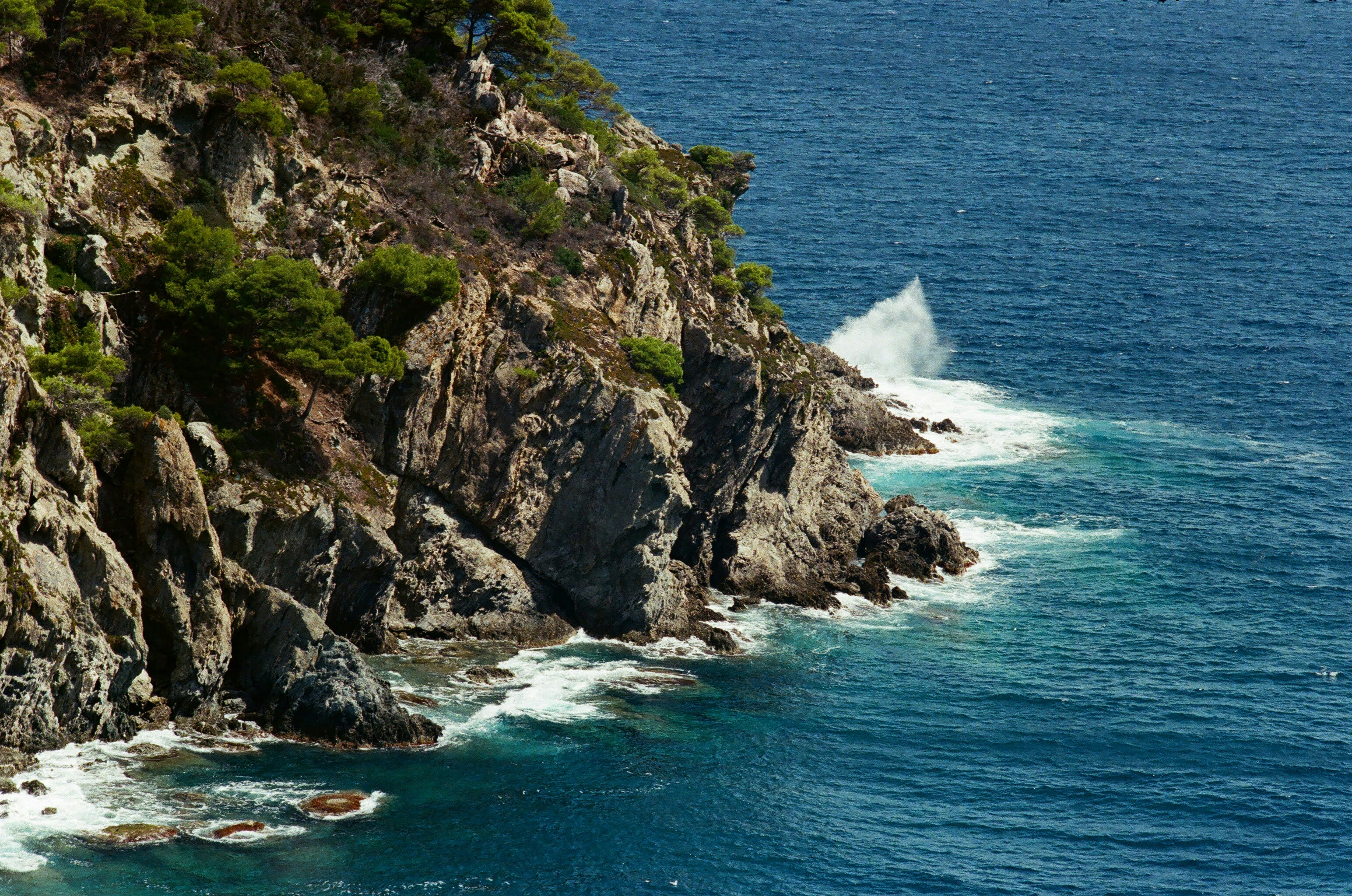 Photo by daria_kraplak