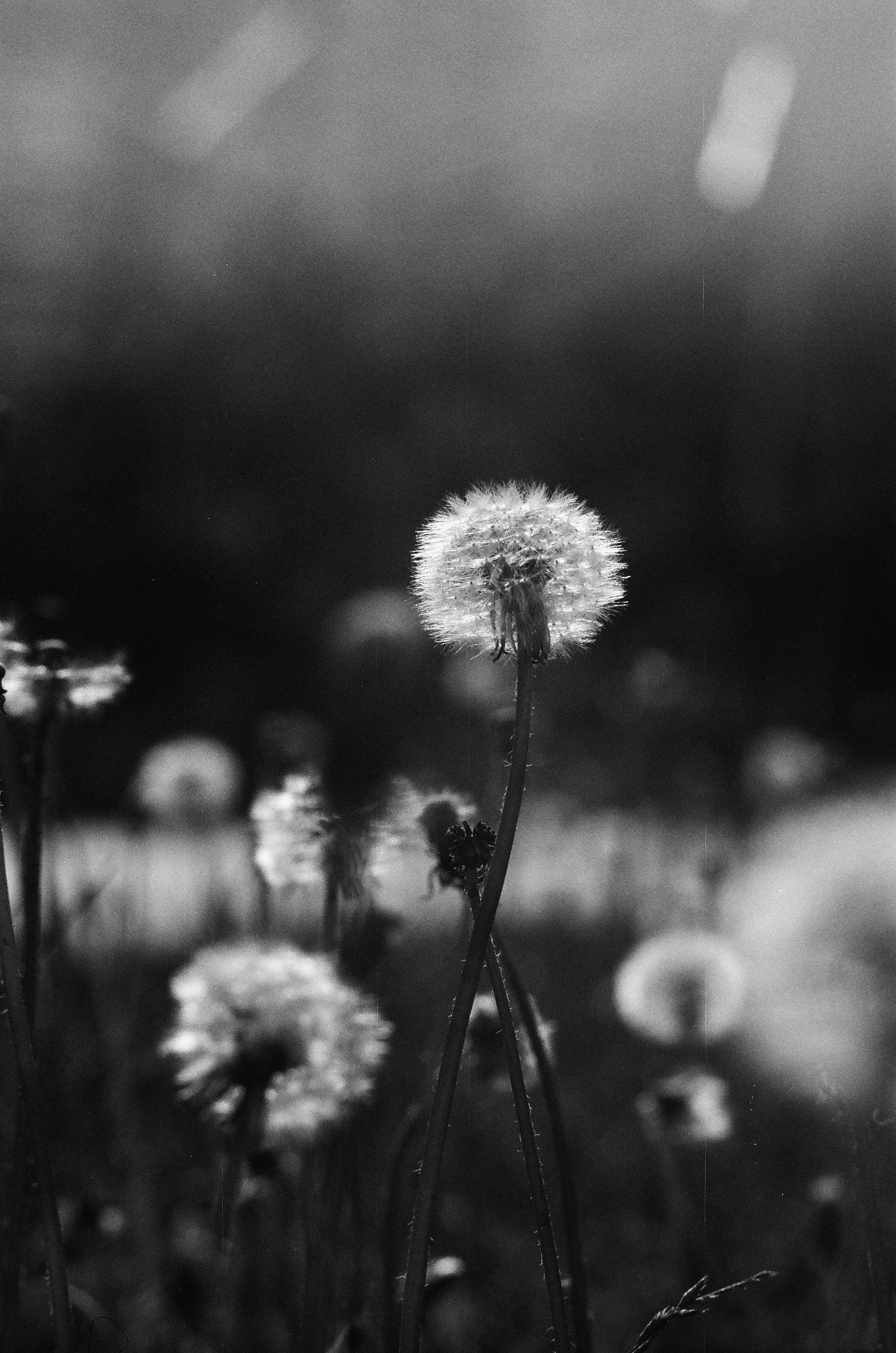 Photo by daria_kraplak