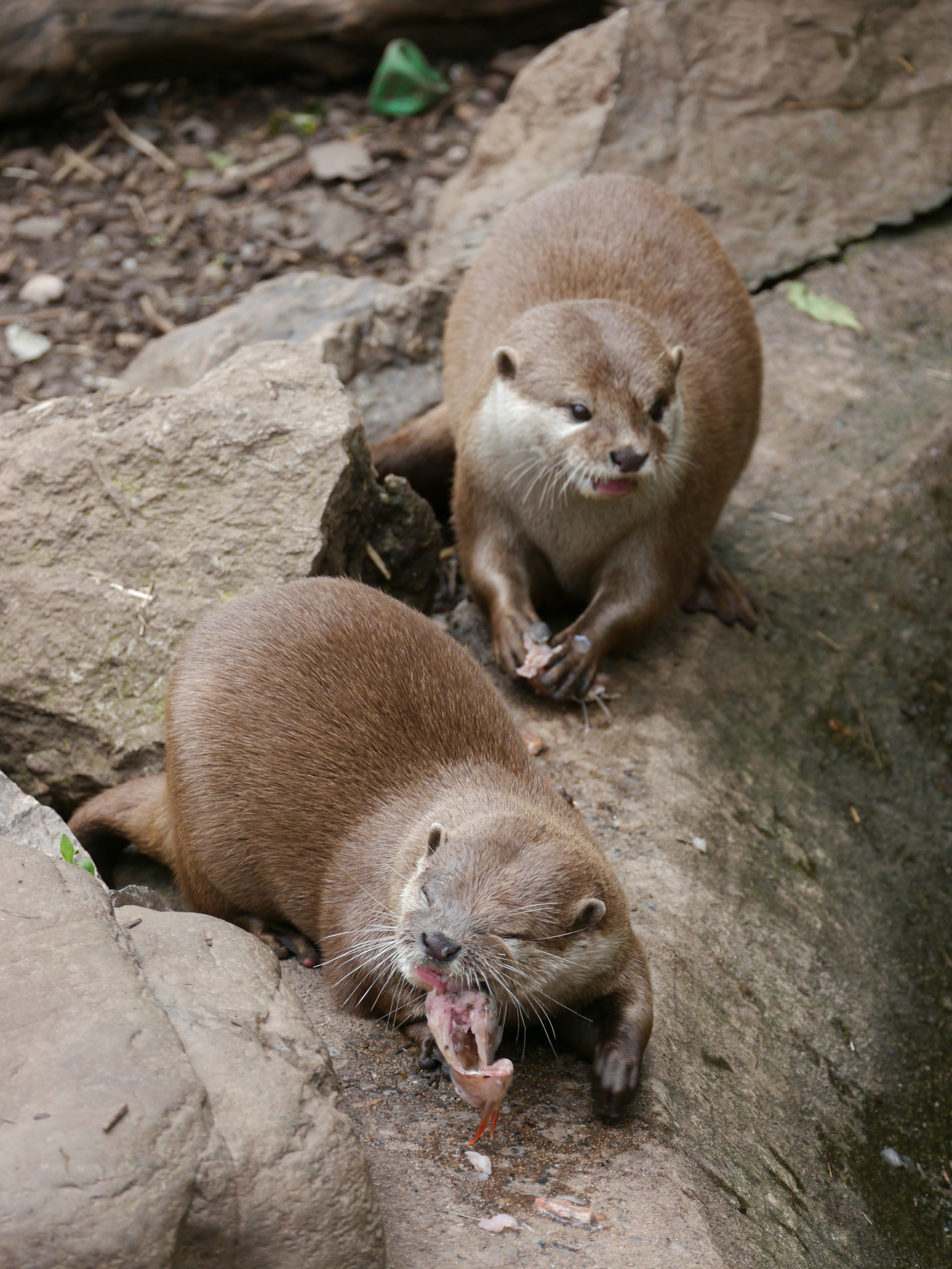 Photo by iqsphotography