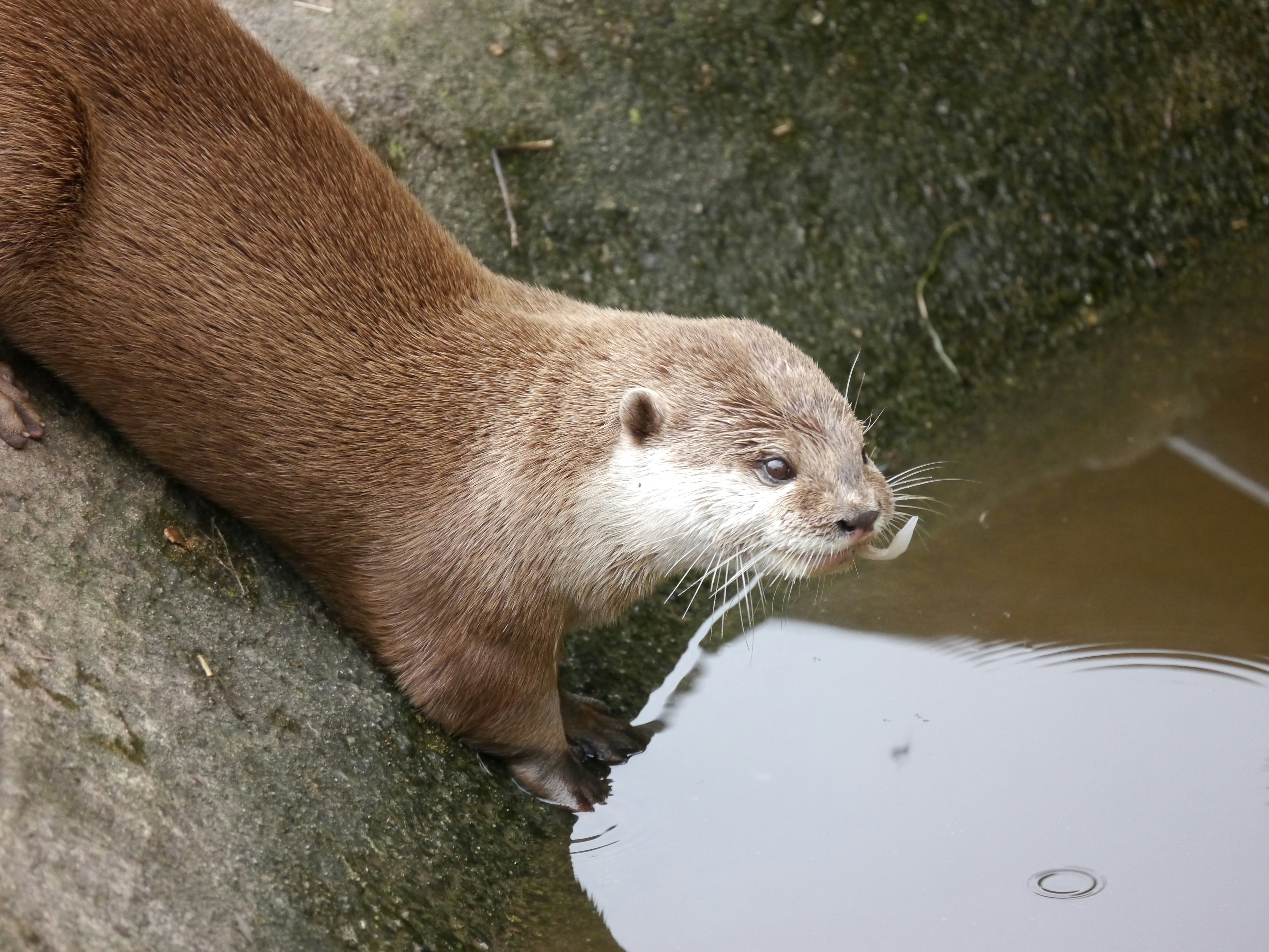 Photo by iqsphotography