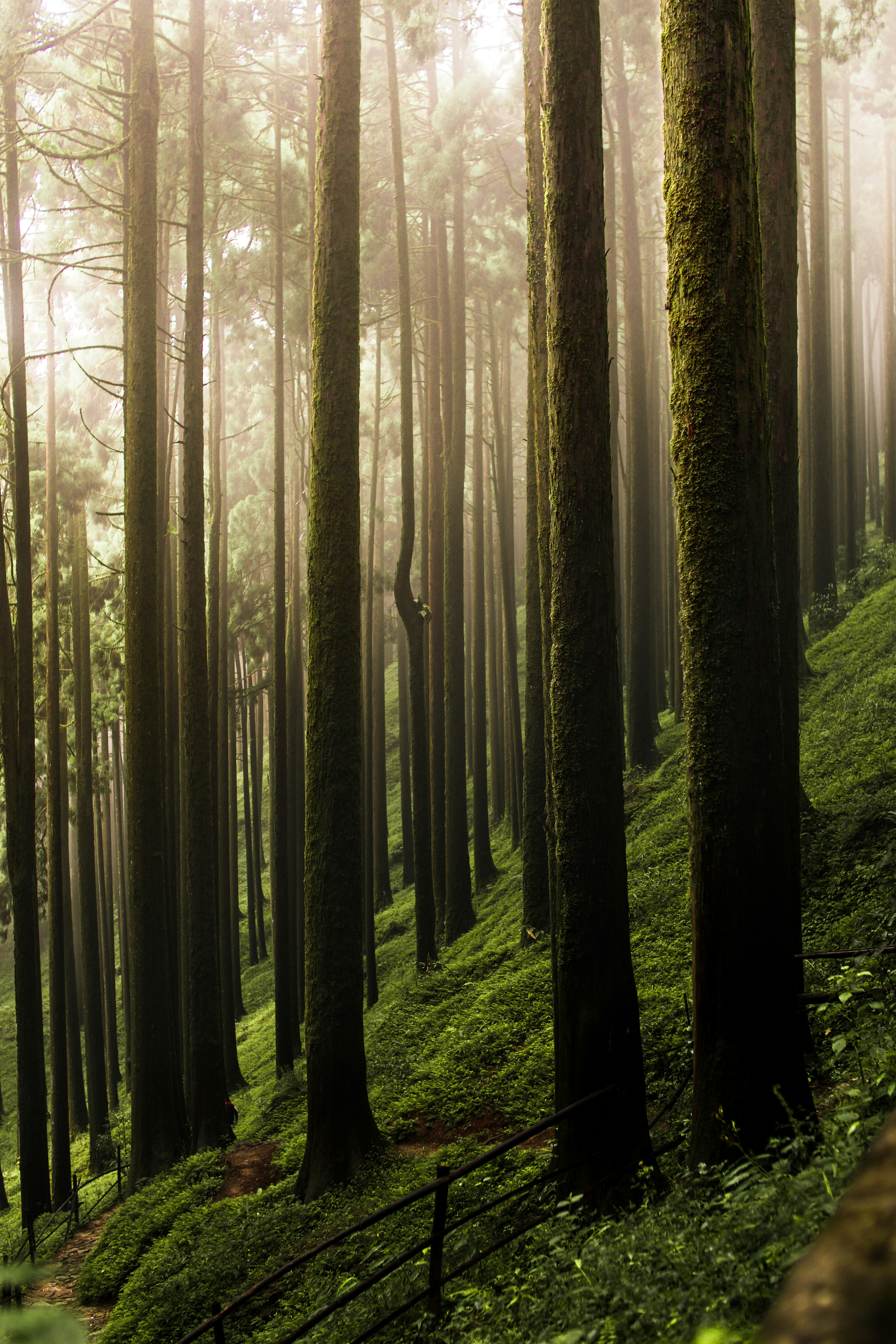 Photo by avinashbharti97