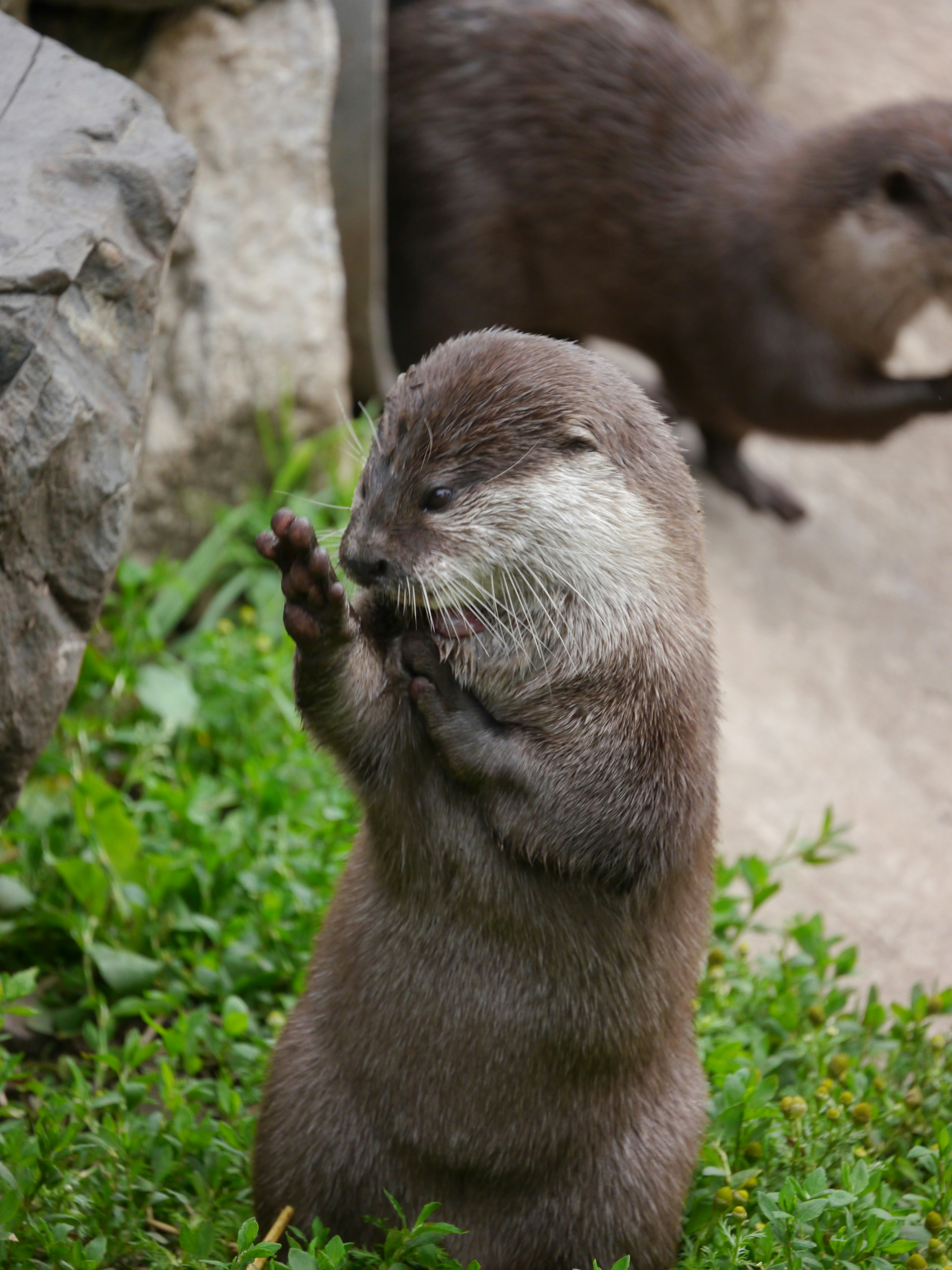 Photo by iqsphotography