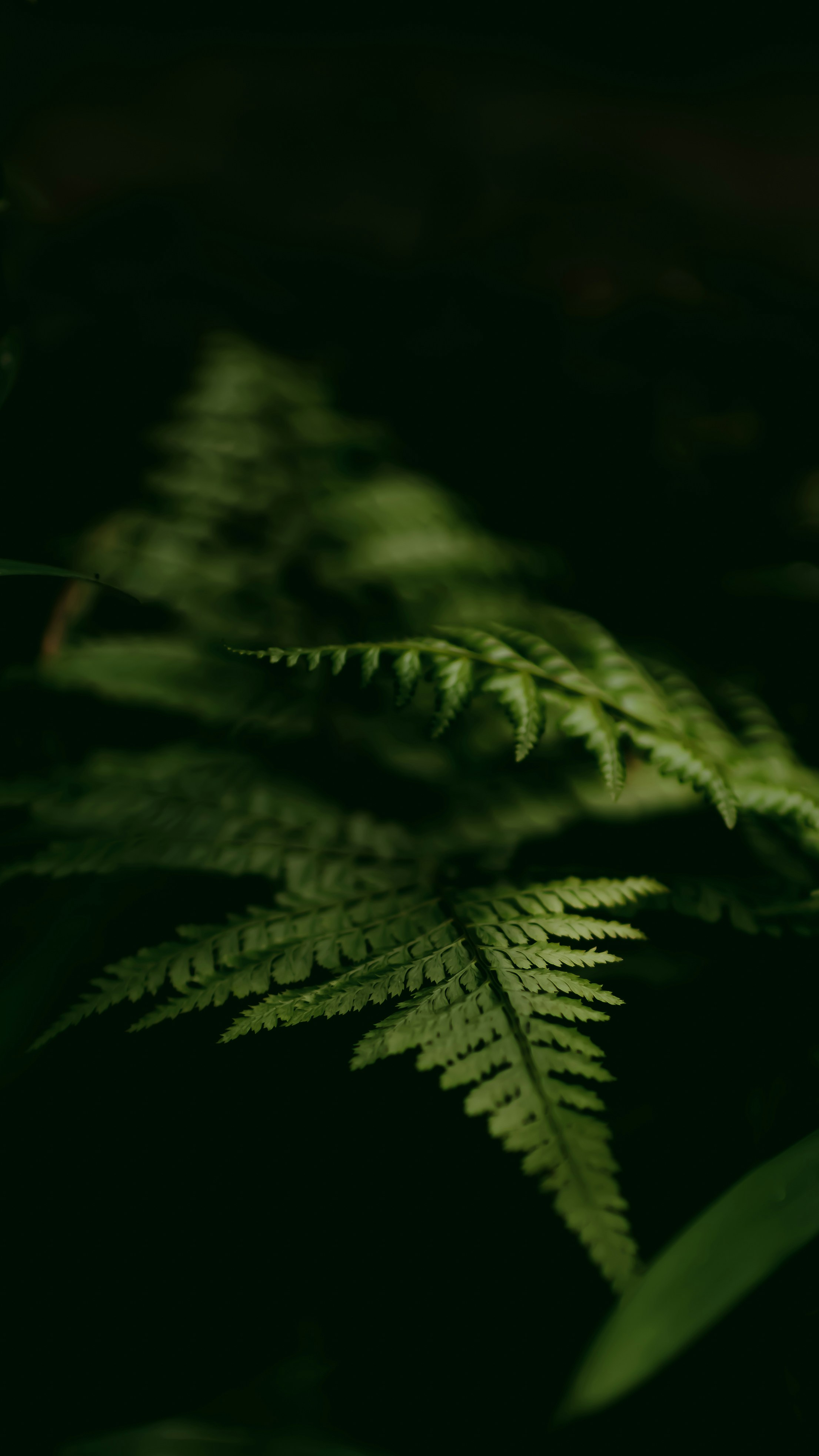 Photo by avinashbharti97