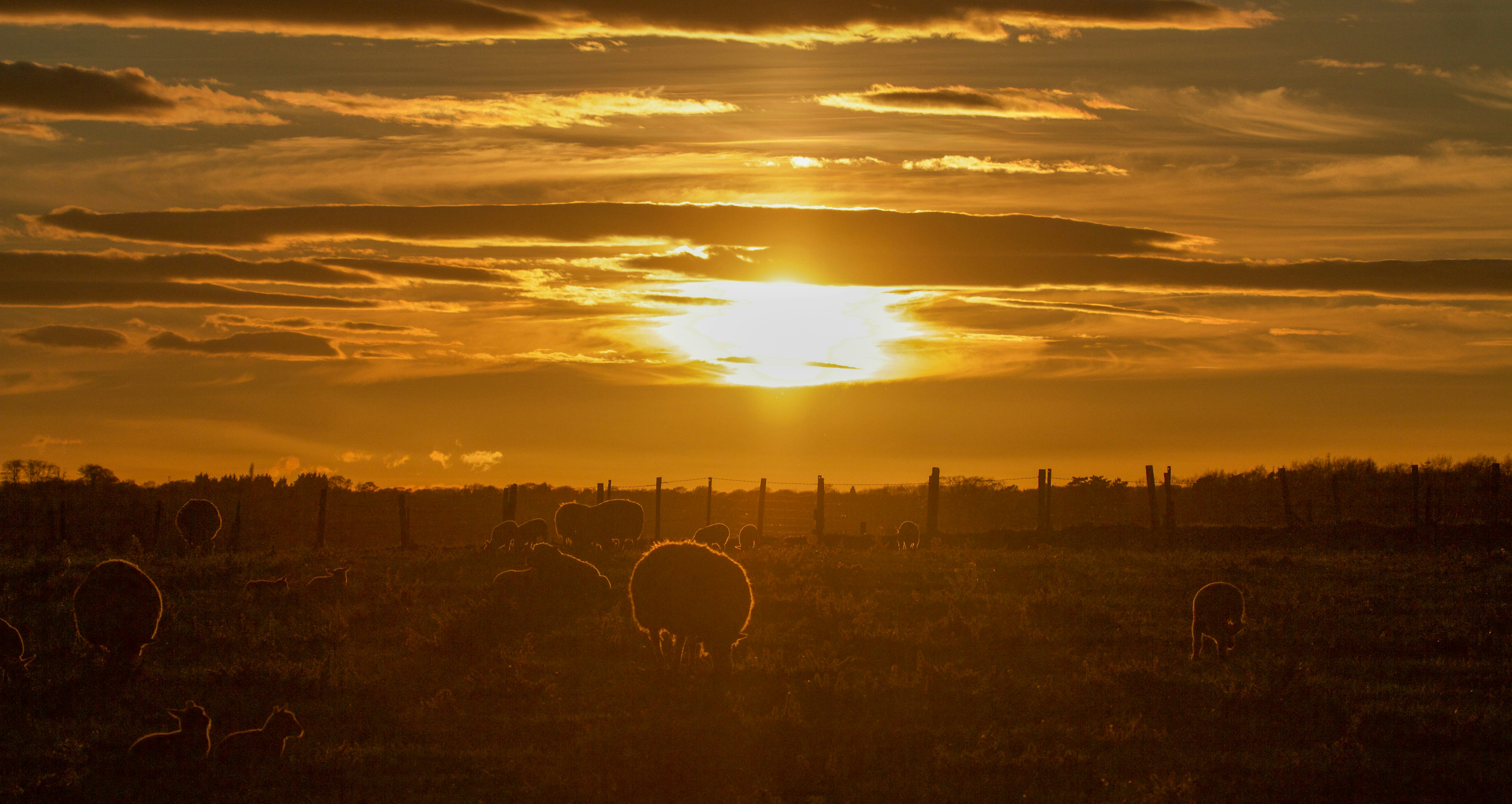 Photo by heather_wilde