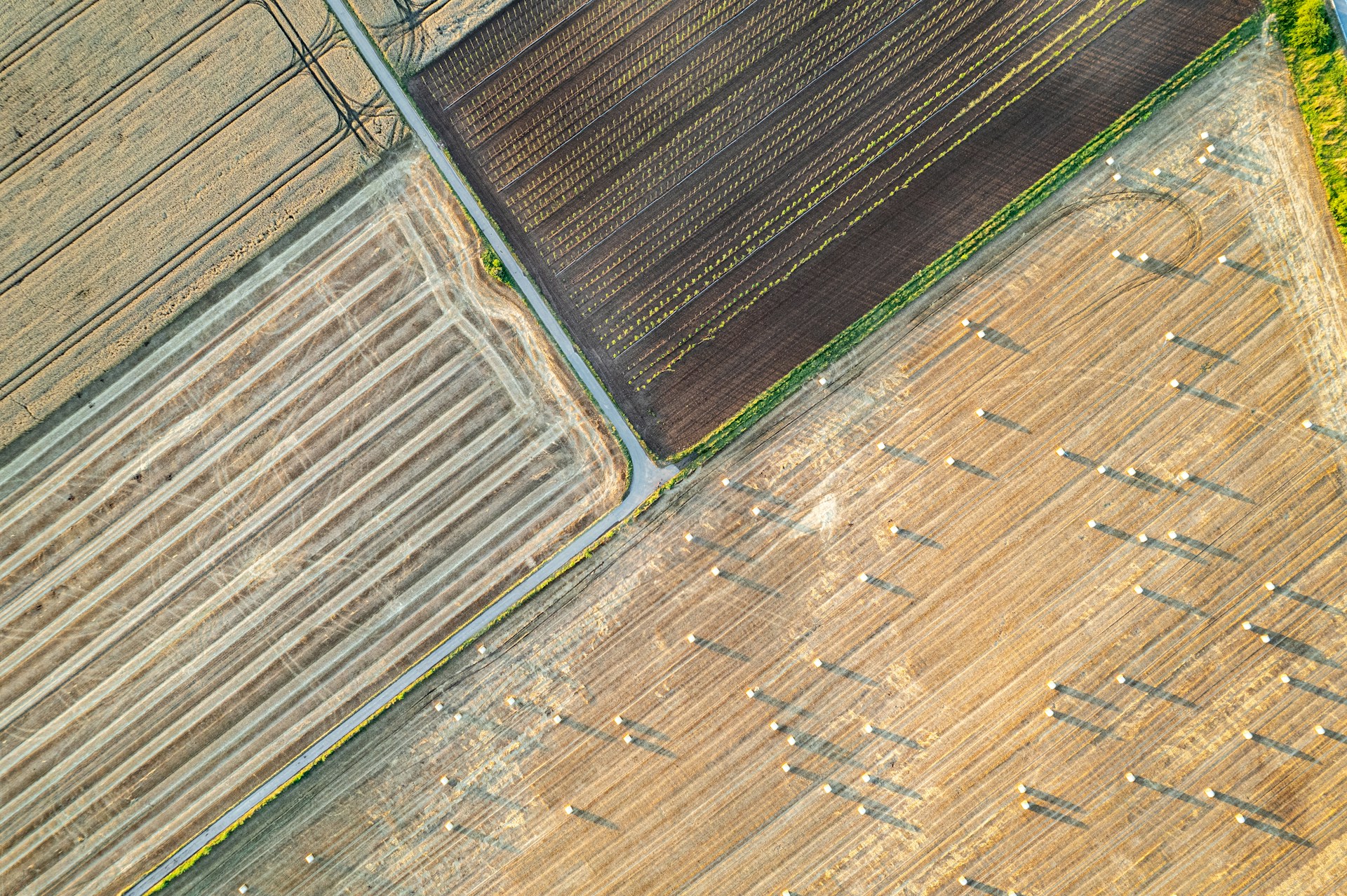An aerial view of a farm field with a bird's eye view of the