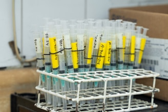 A rack filled with test tubes sitting on top of a table